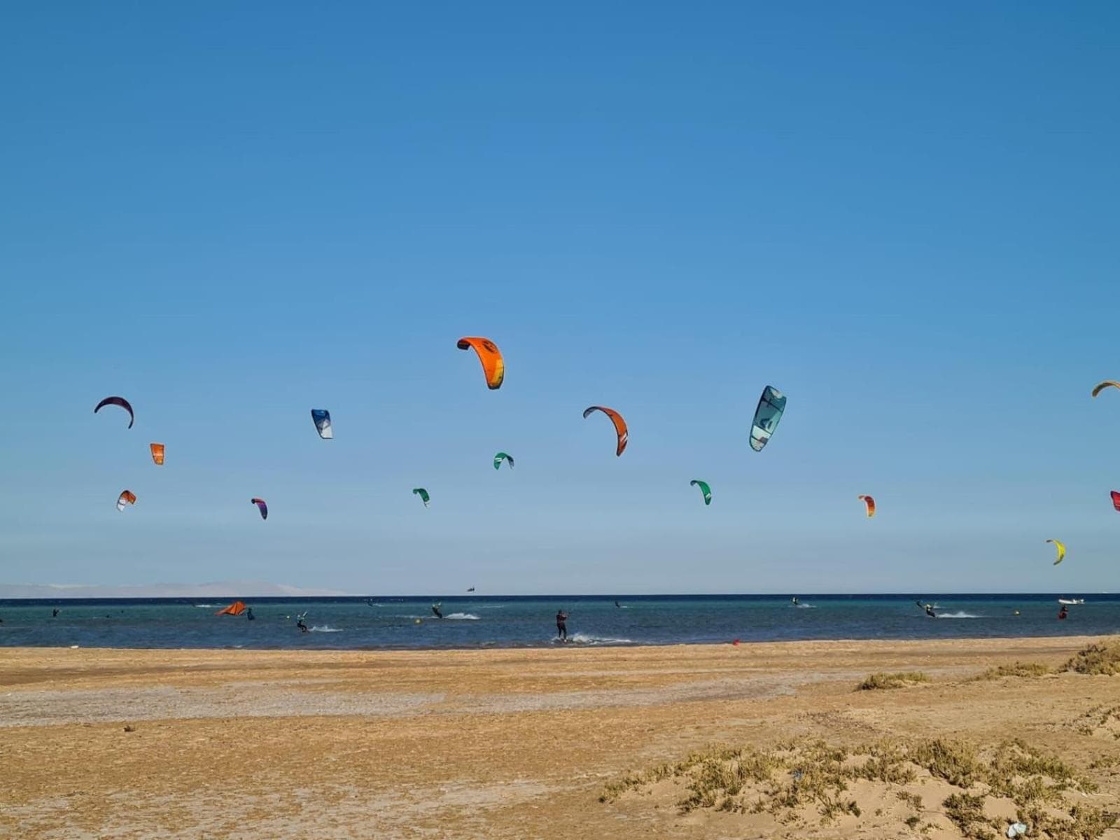 Mangarovy El Gouna photo 6