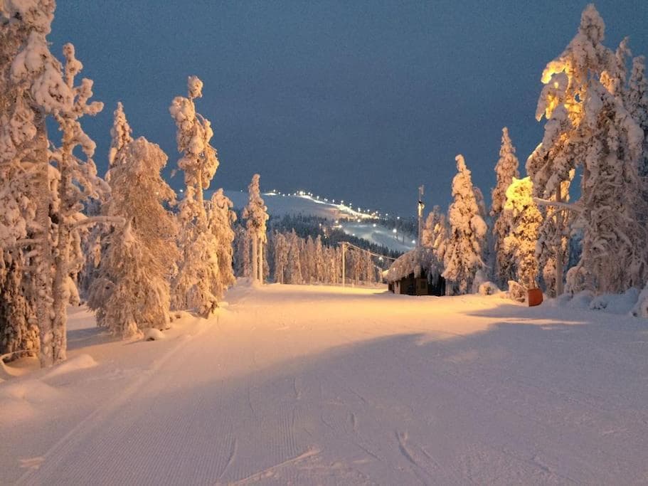 Levi Chalets 1501 photo 5