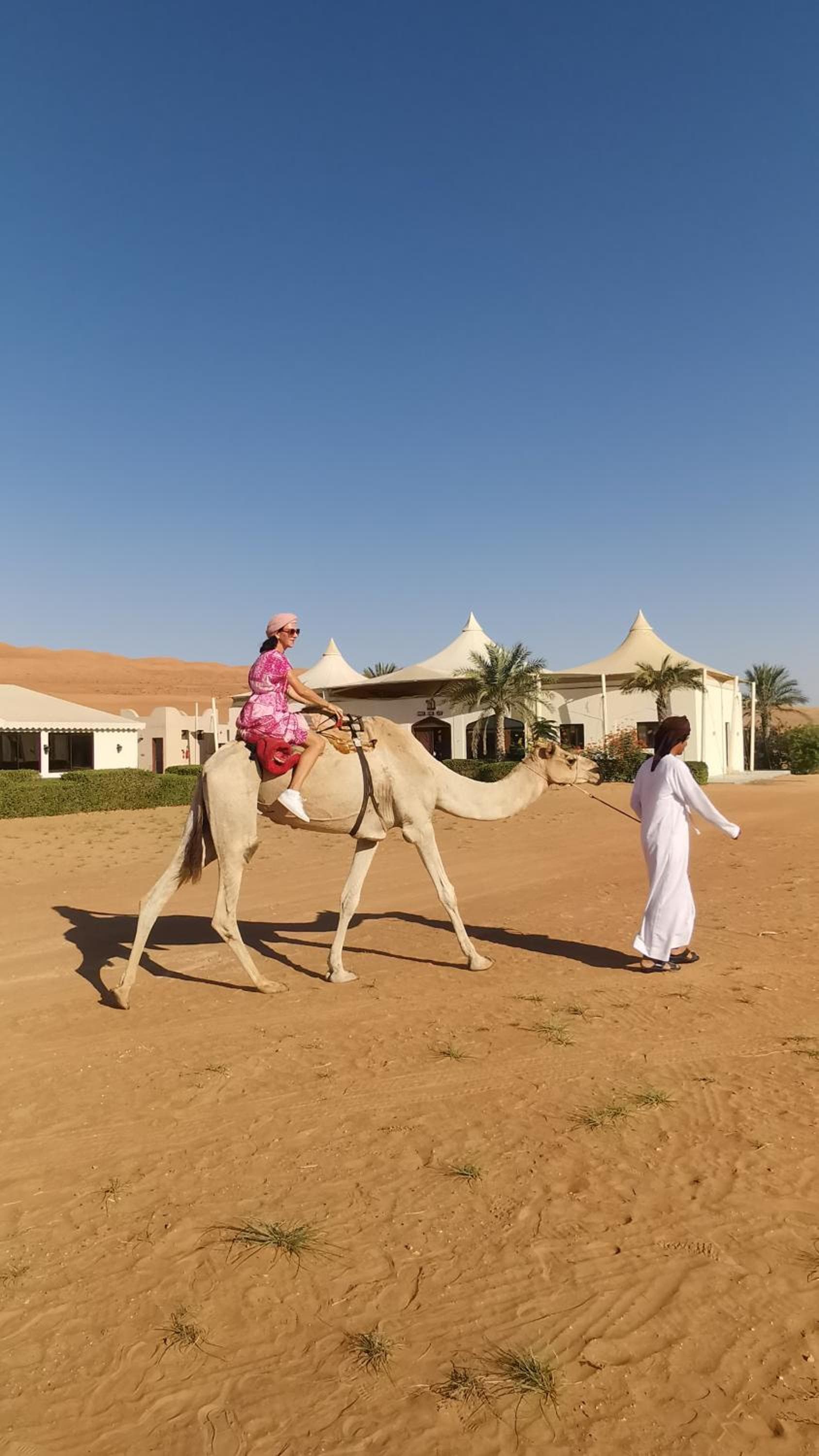 Desert Rose Camp photo 6