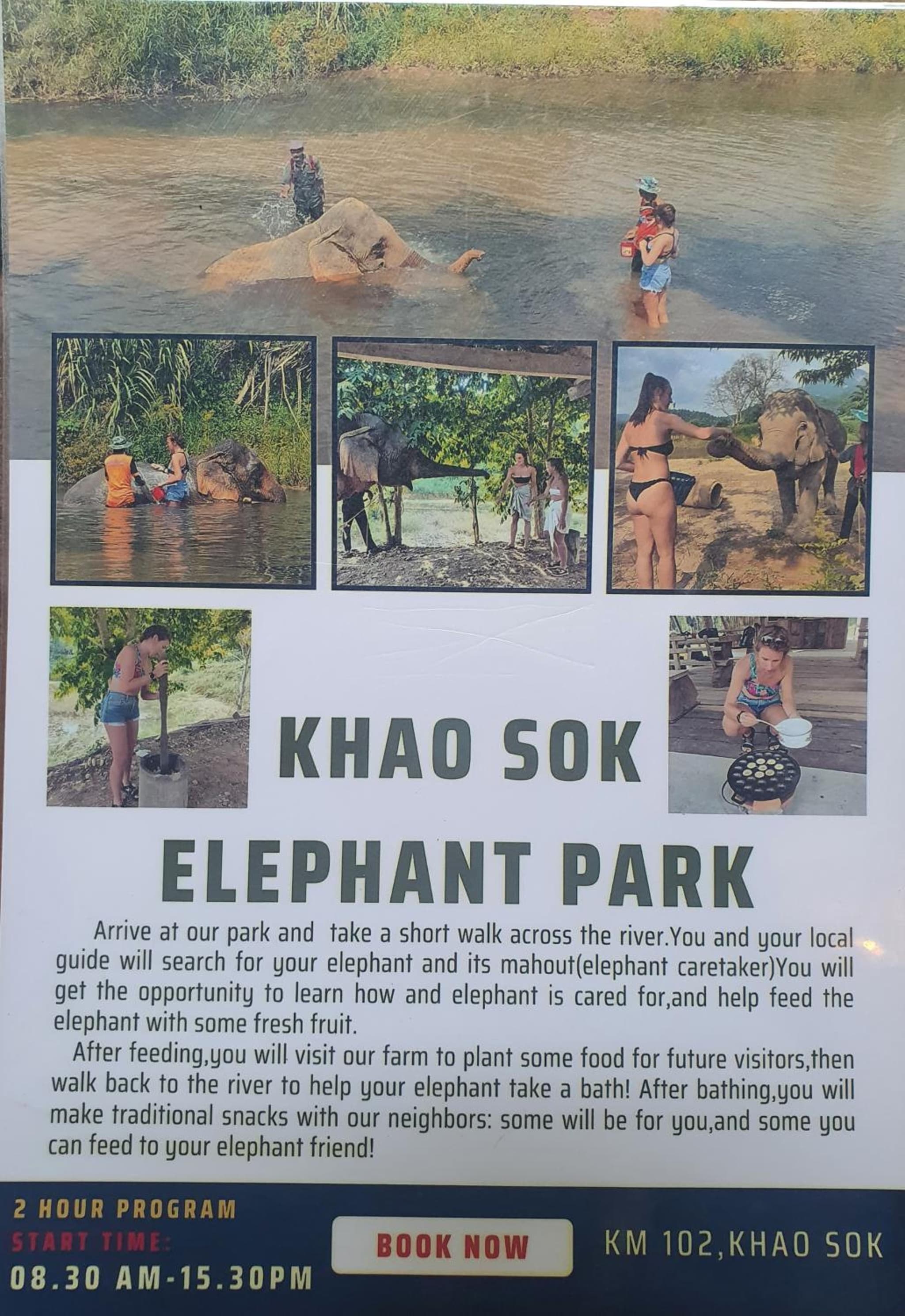 Khao Sok Silver Cliff Resort photo 5