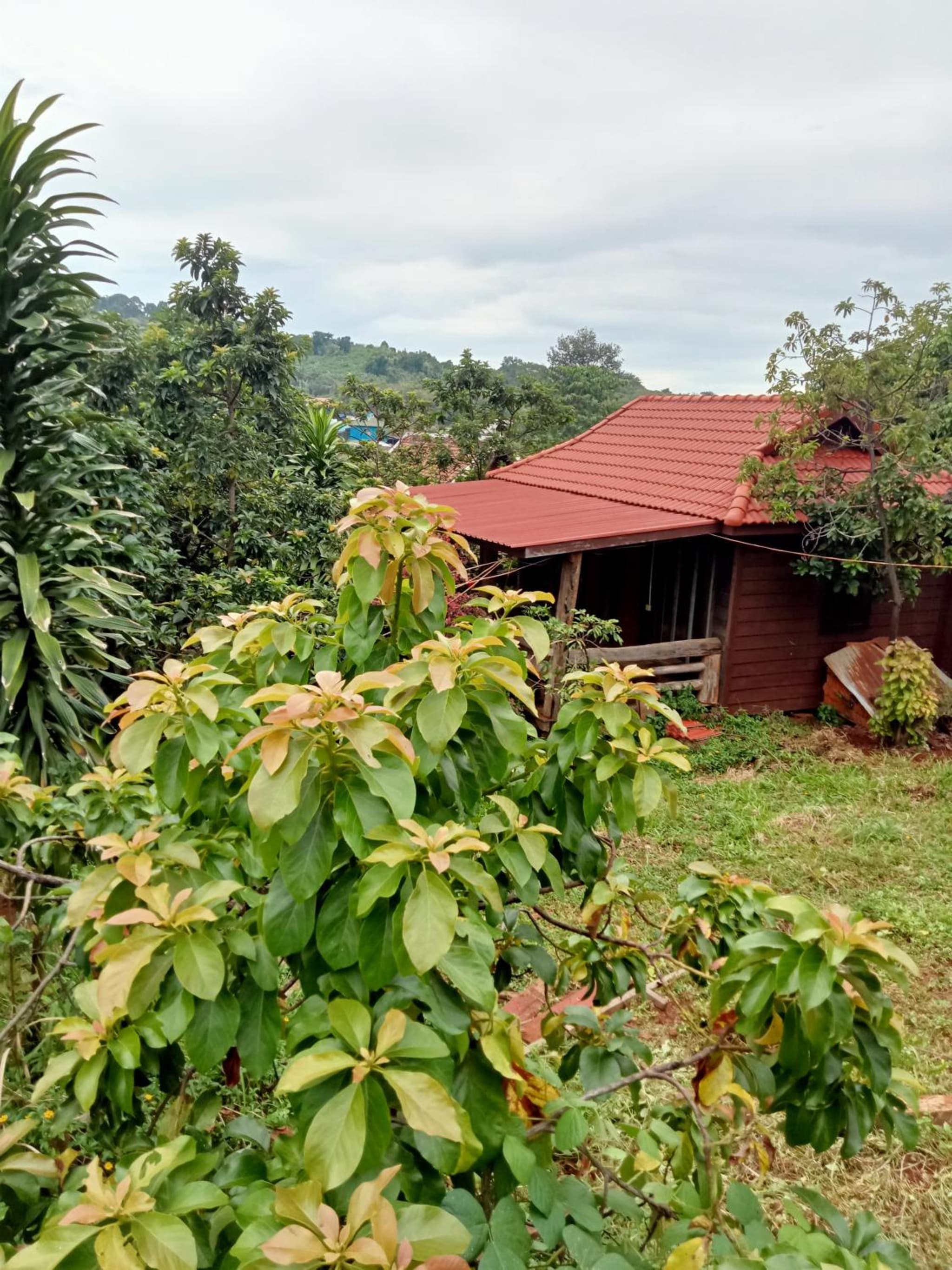 Ratanak Tep Rithea homestay photo 8