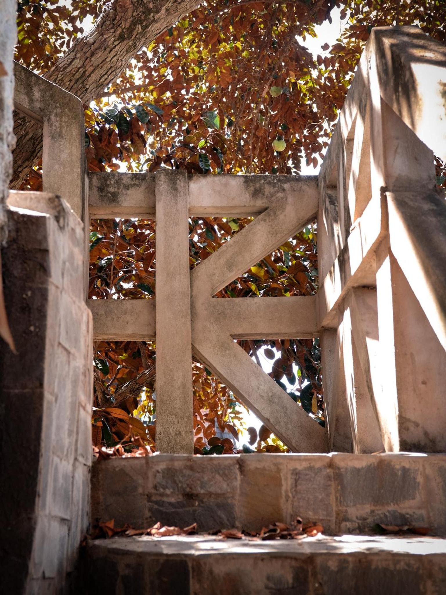 Y.O Inn photo 8