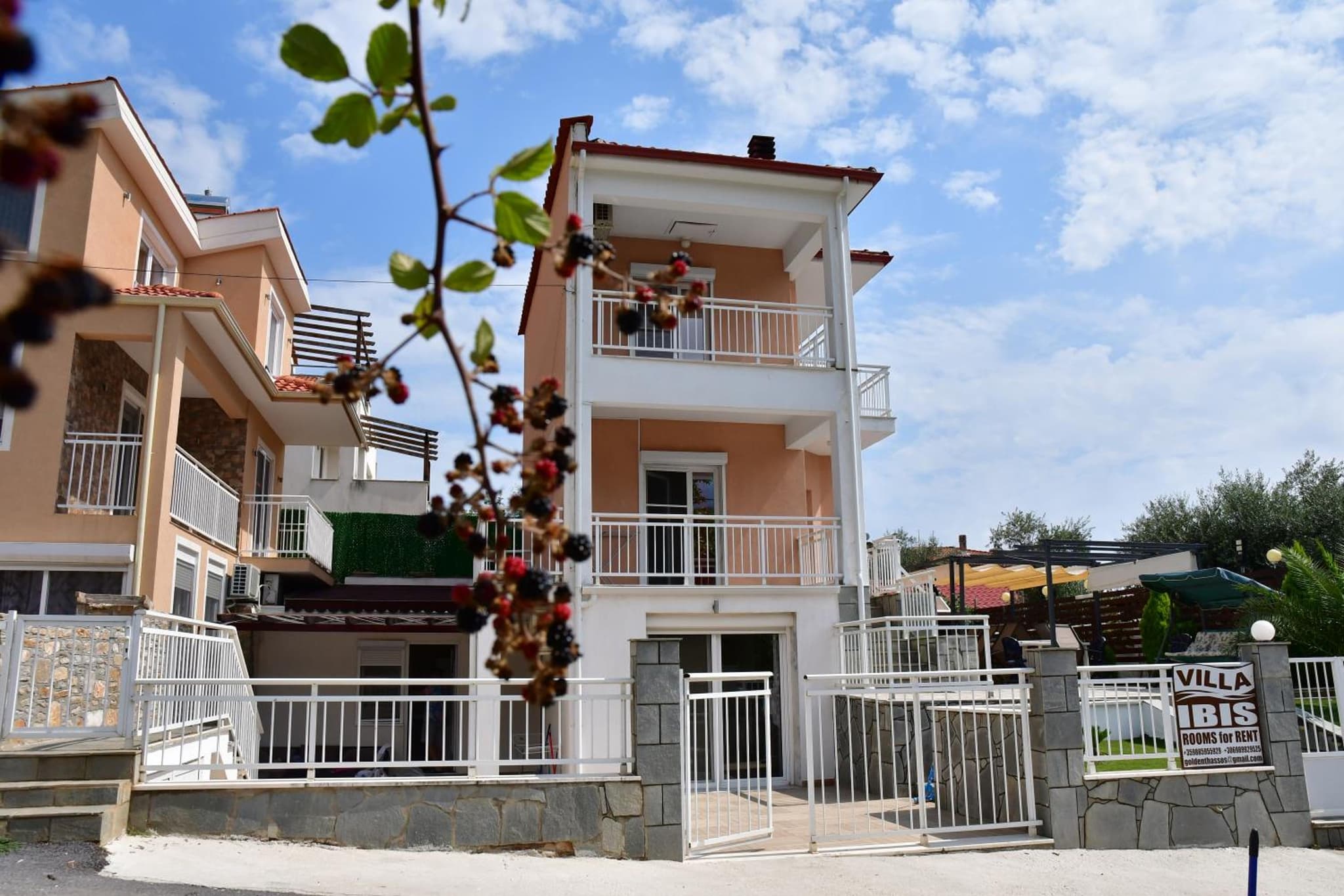 VILLA IBIS THASSOS