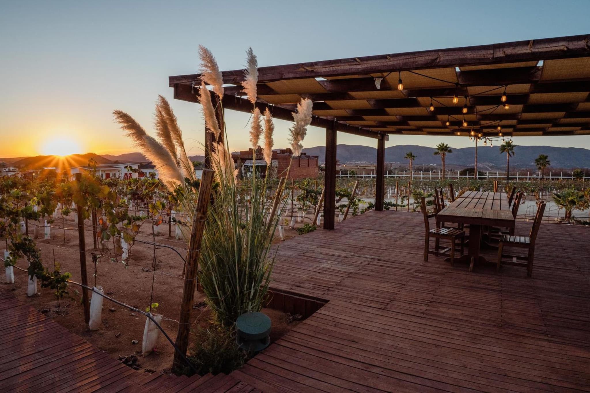 Entrevalle Hotel Boutique photo 4