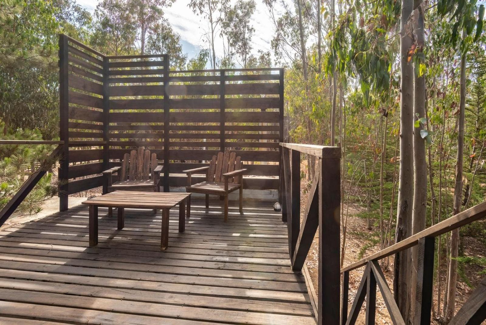 Tripanko Lodge & Bungalows photo 4