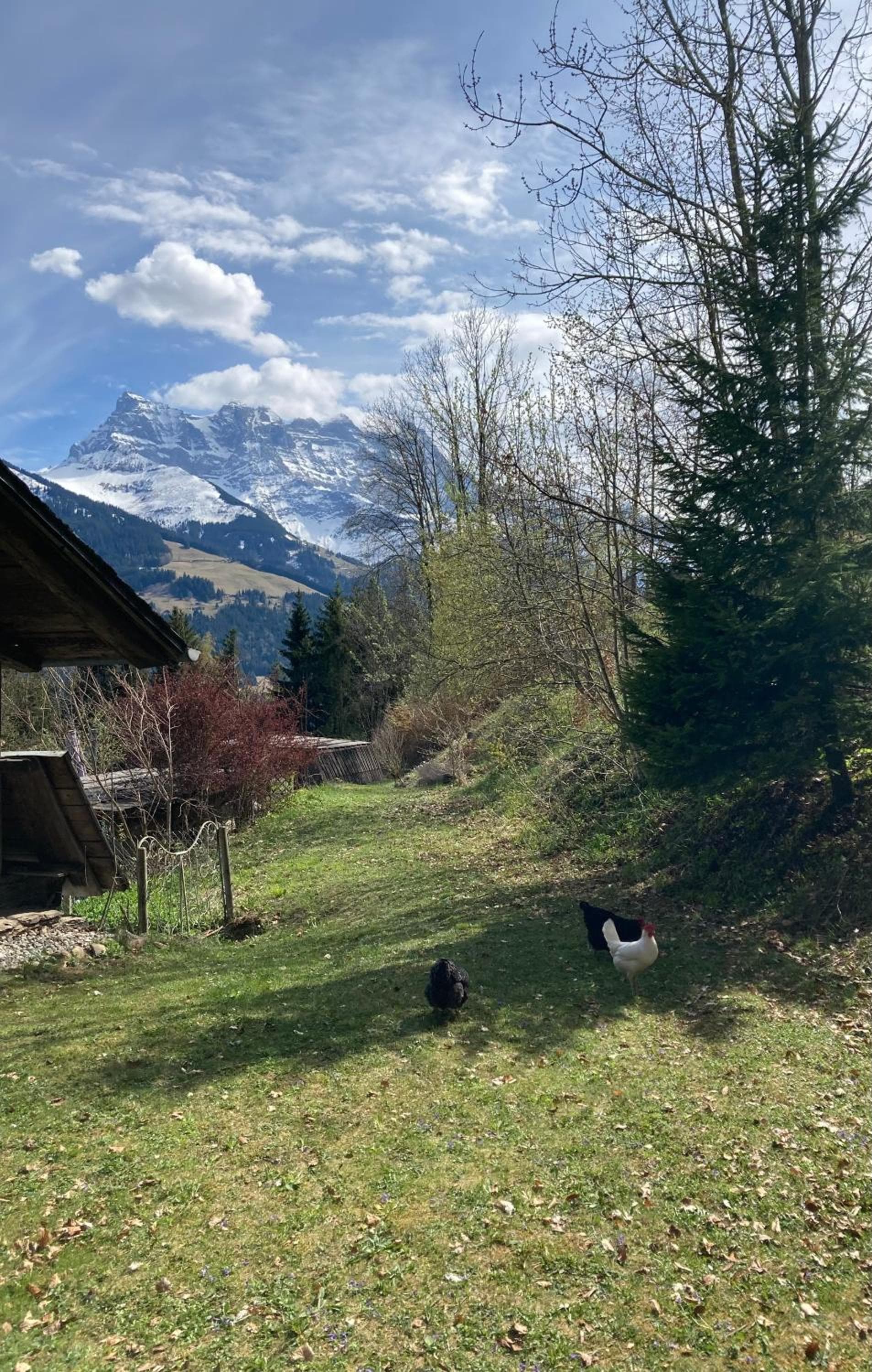 Chalet Ingas photo 9