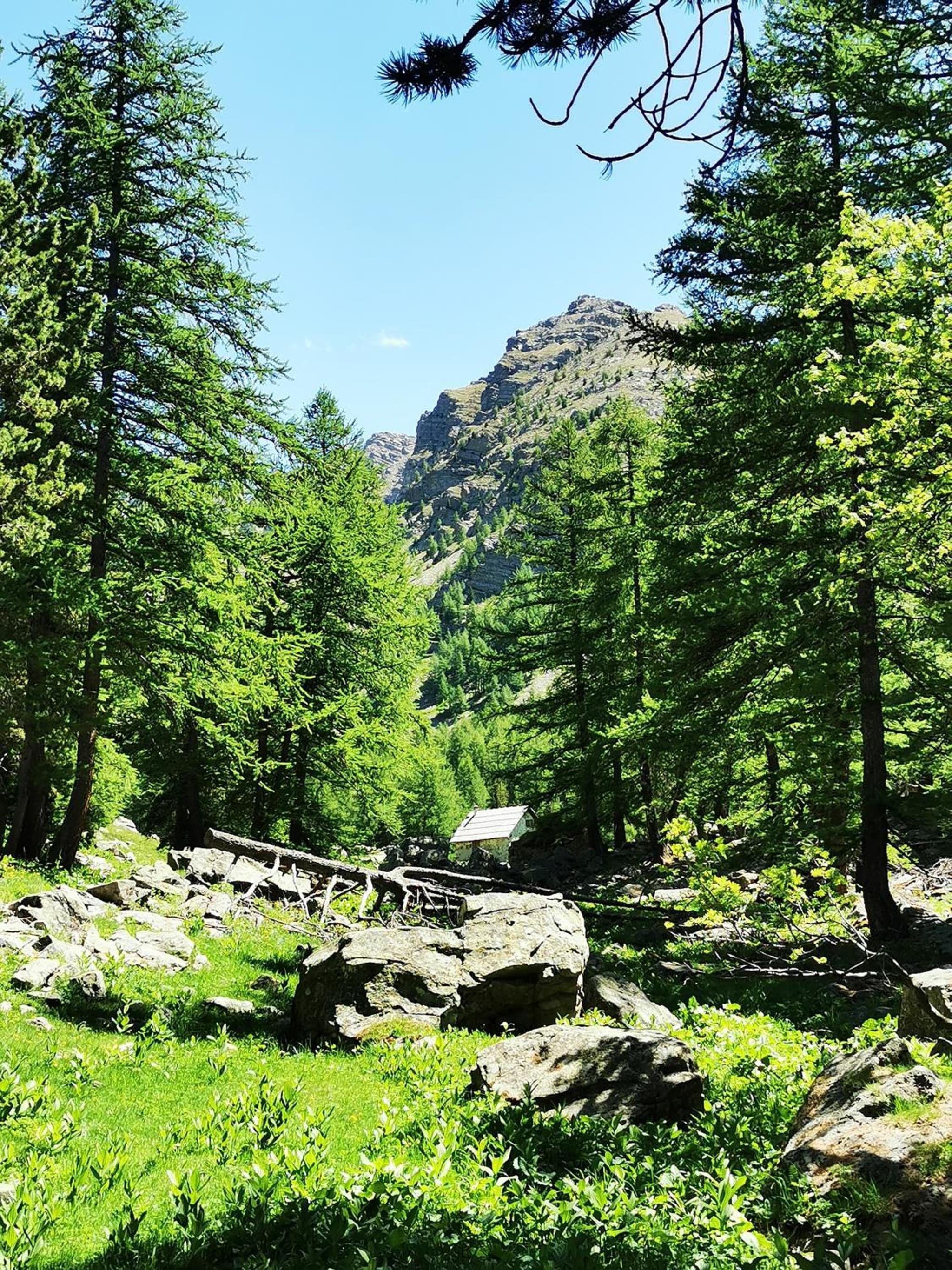 Les marmottes d Estenc photo 3
