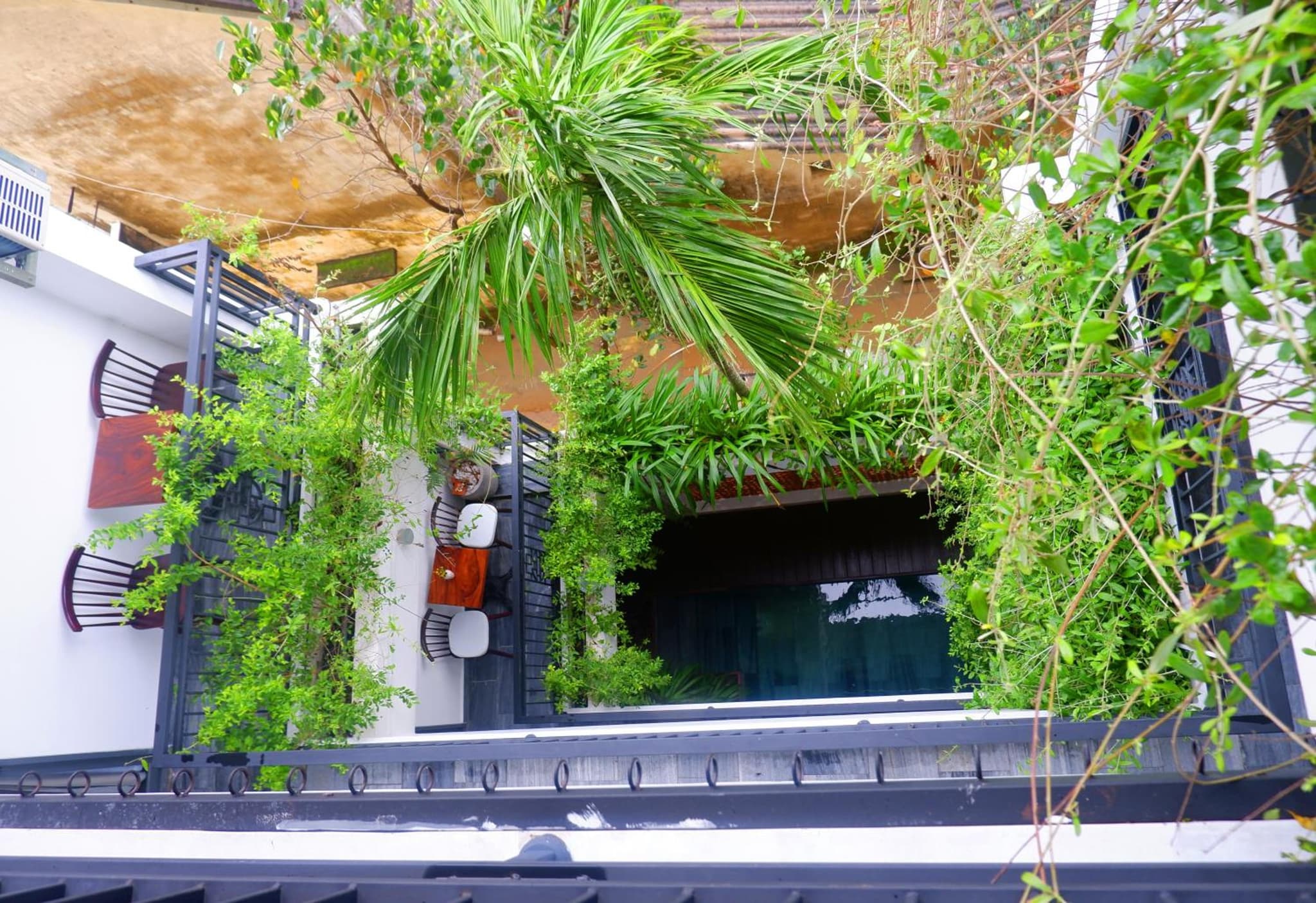 Hoi An Ti Hon House photo 9