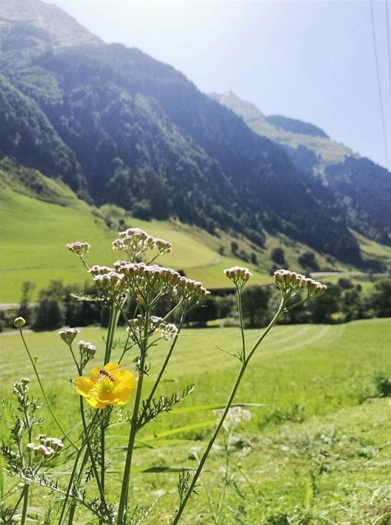 Schiederhof photo 2