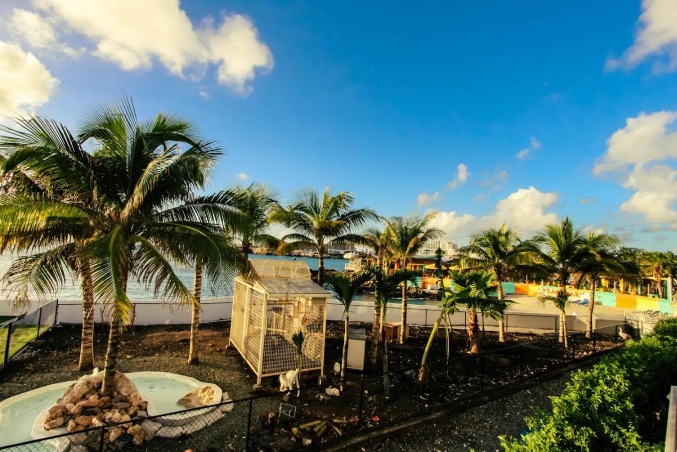 Maho Beach Ocean View Corner Suite photo 6