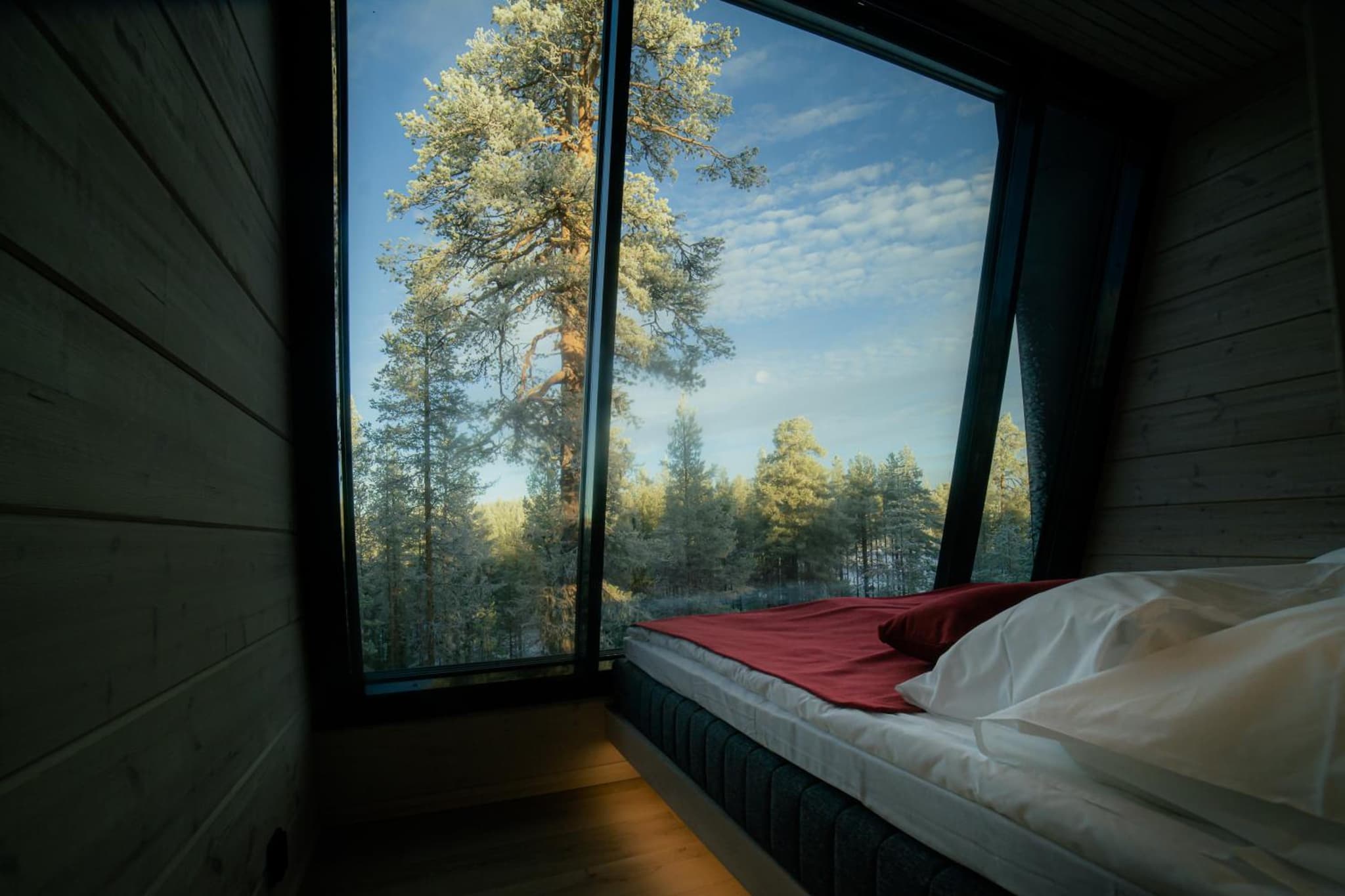Salla Wilderness Lodges photo 8