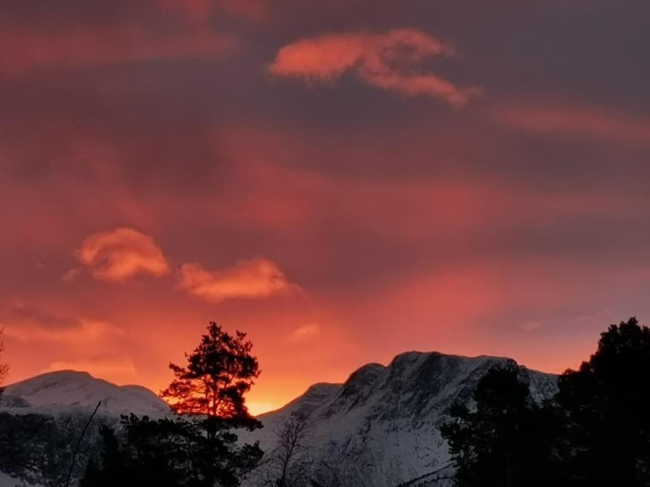 Huset ved skogen photo 9