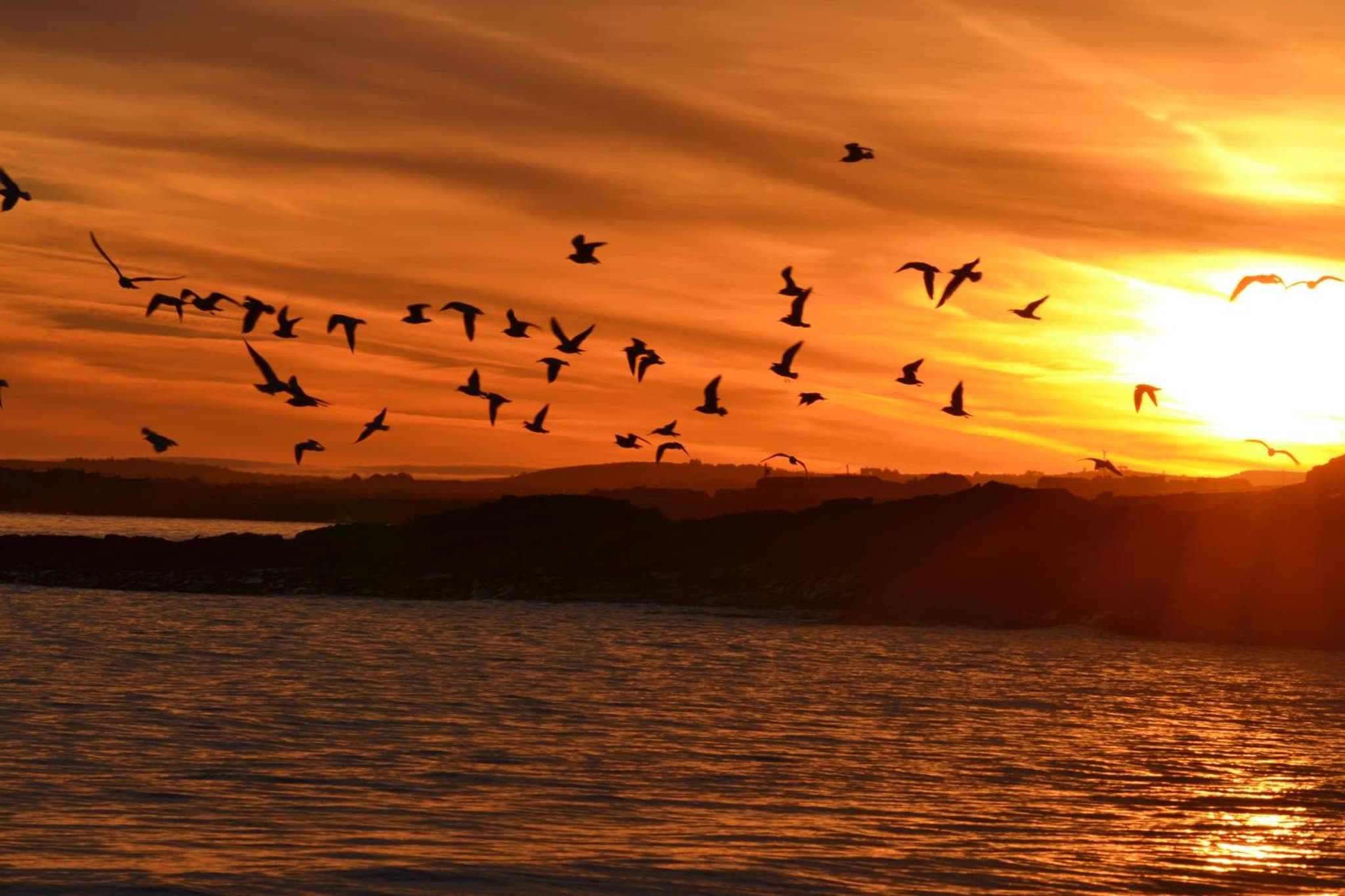 Doonbeg Holiday Cottages photo 4