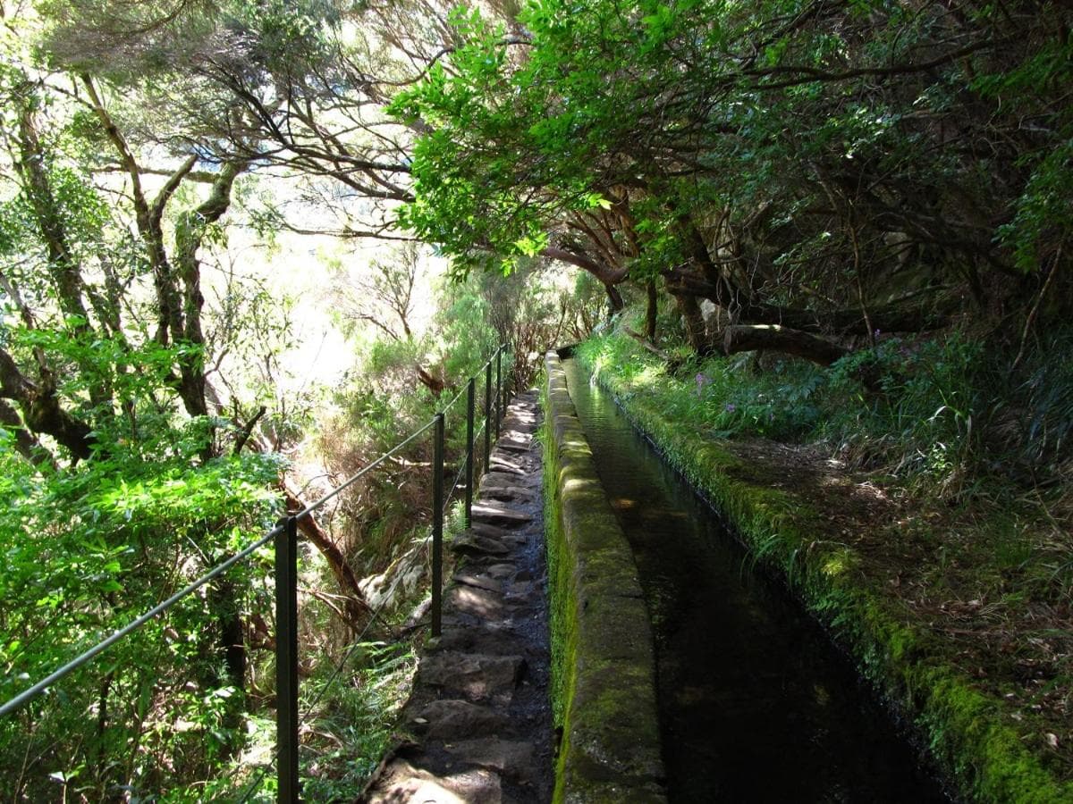 Beautiful View 1 - Arco da Calheta - Ilha da Madeira photo 8