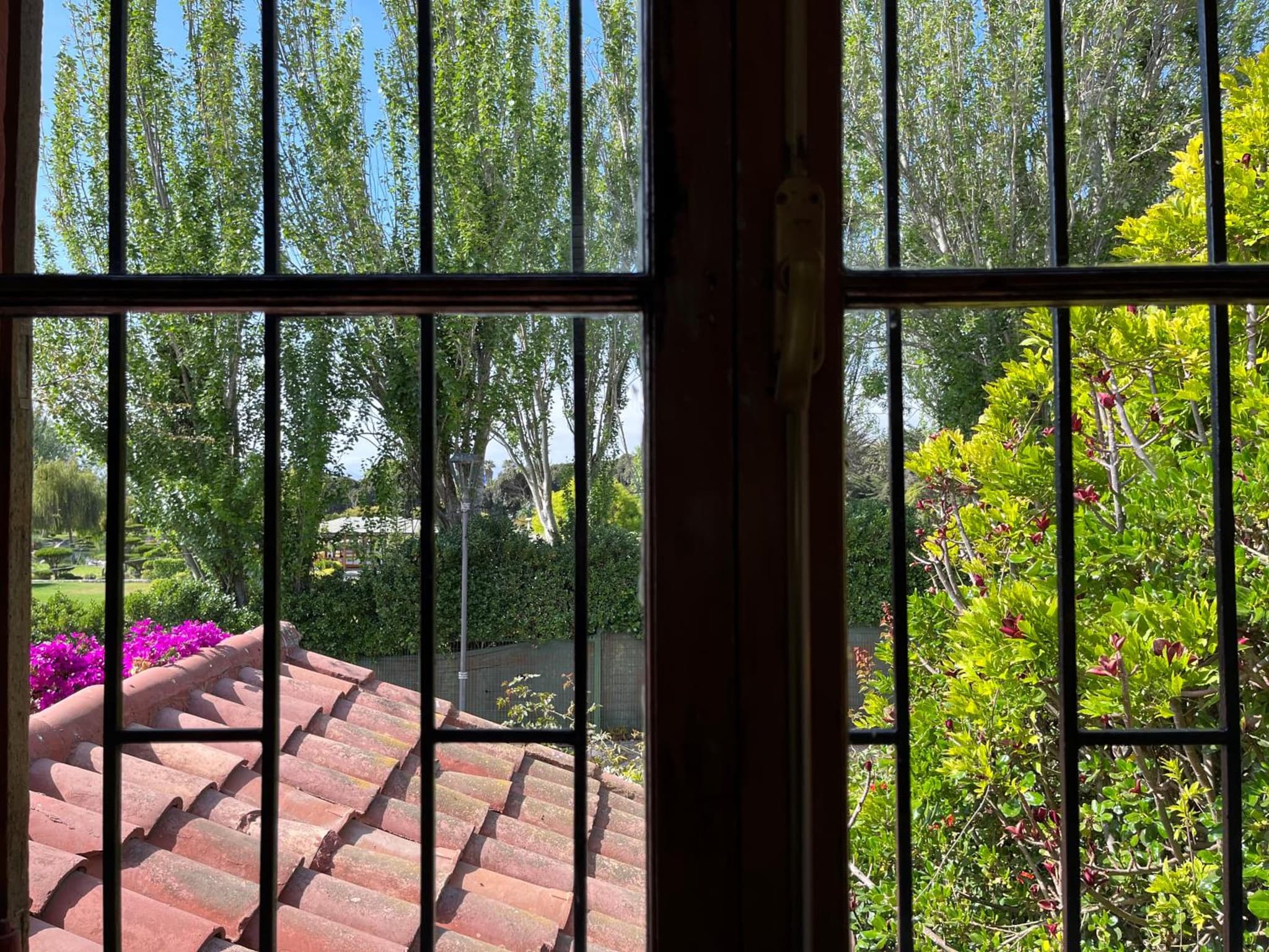 El Arbol Hostel photo 8