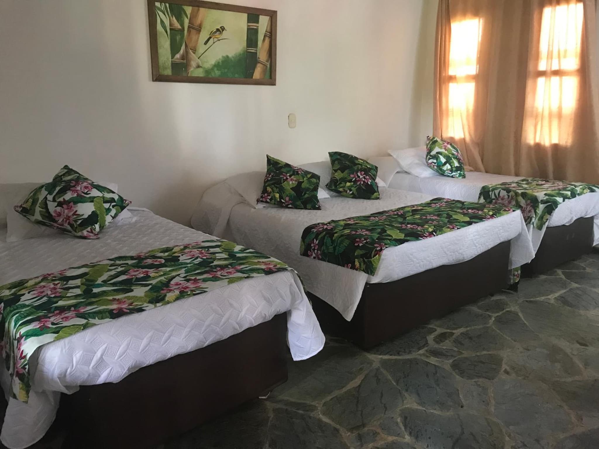 Hotel del Campo photo 3