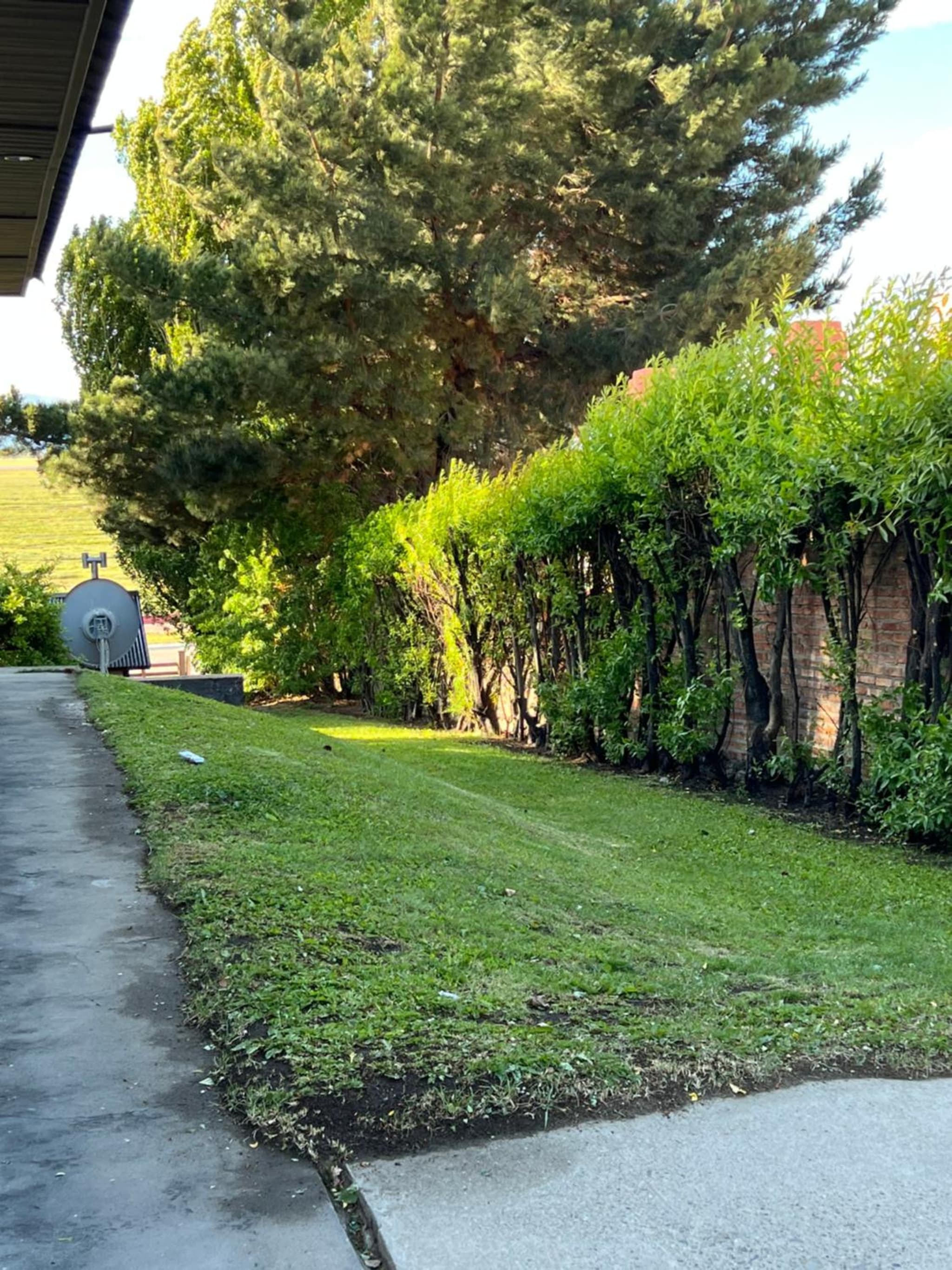Cabaña Patagónica photo 3