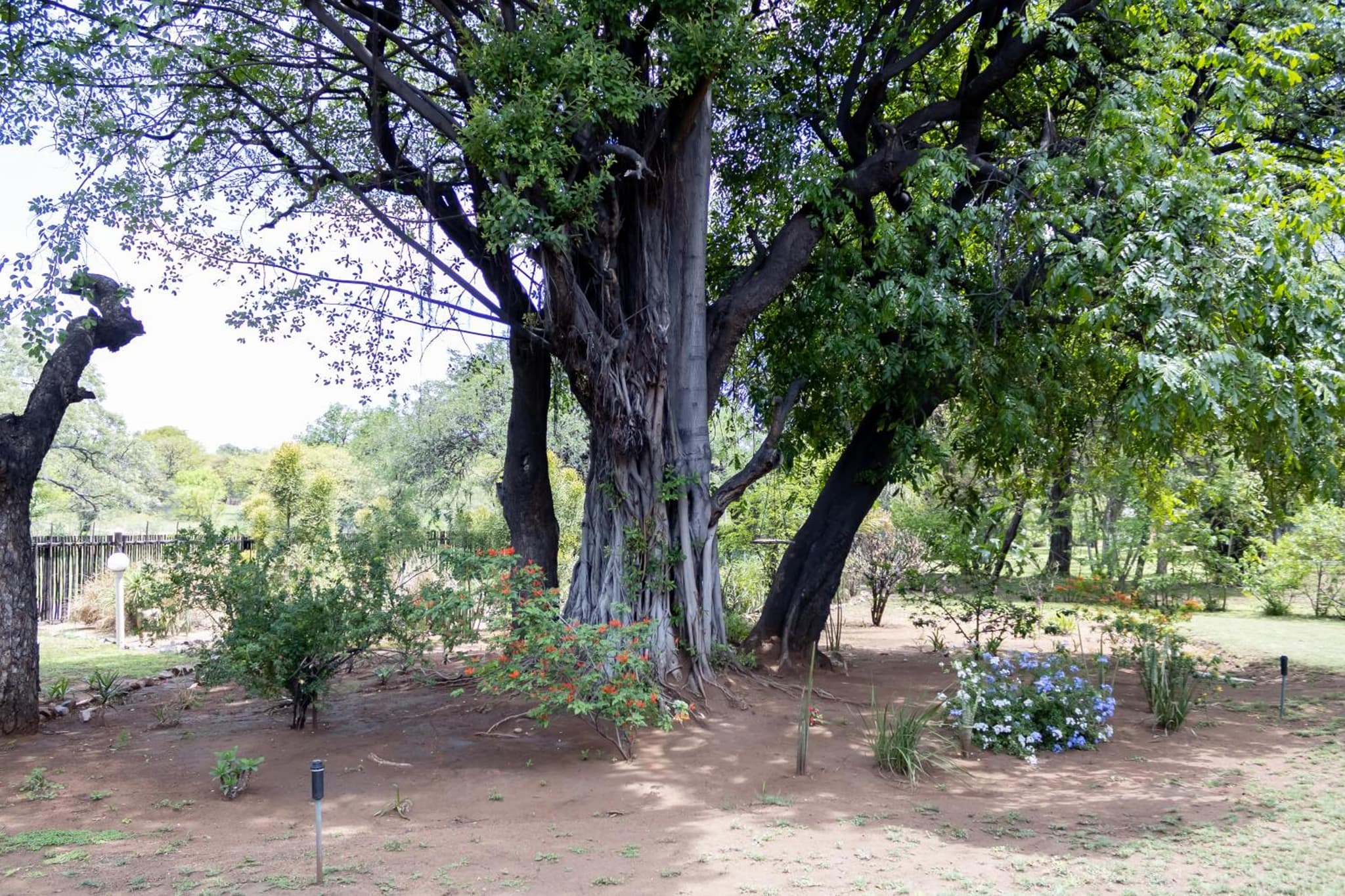 Sunbird Lodge photo 7