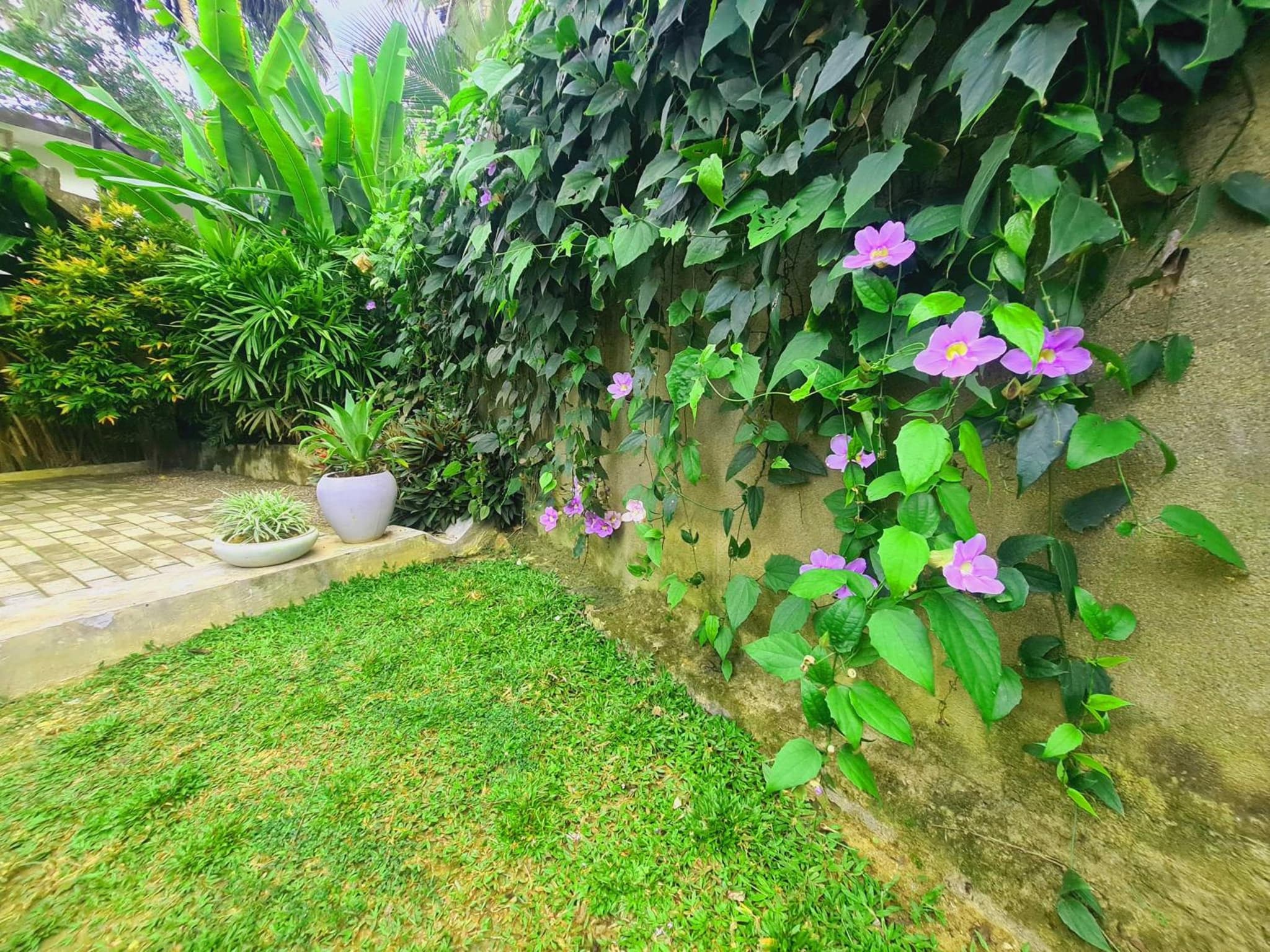 sahasna (one bedroom private villa) photo 6