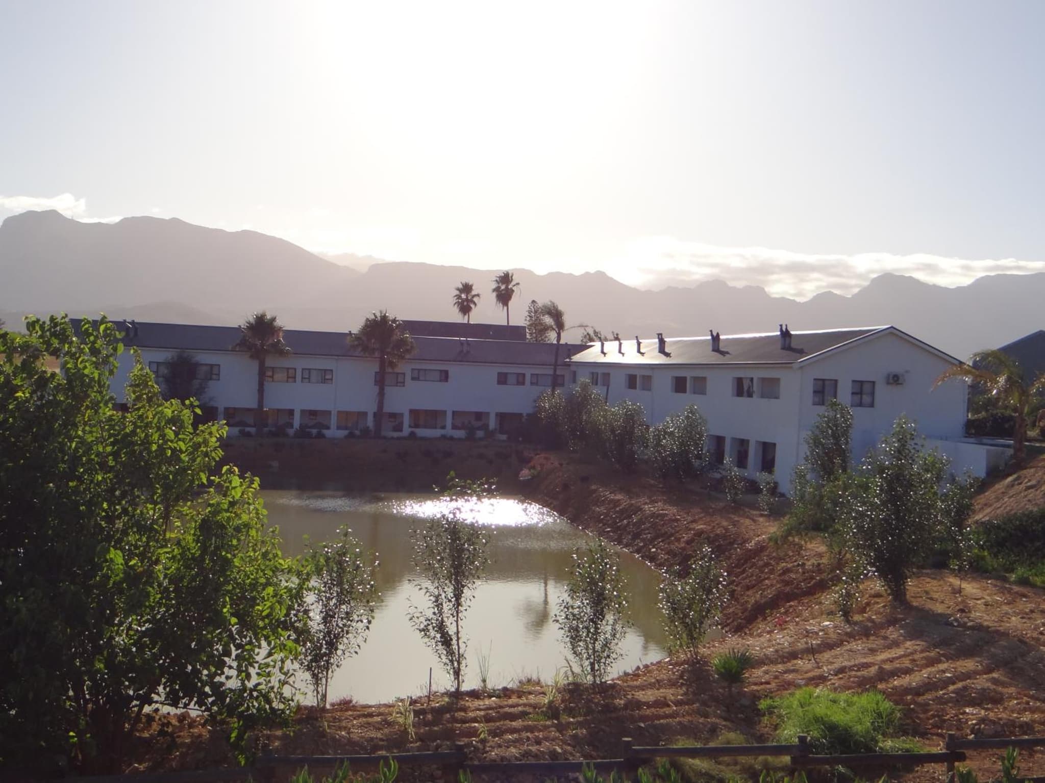 Middelplaas Paarl Guesthouse photo 4