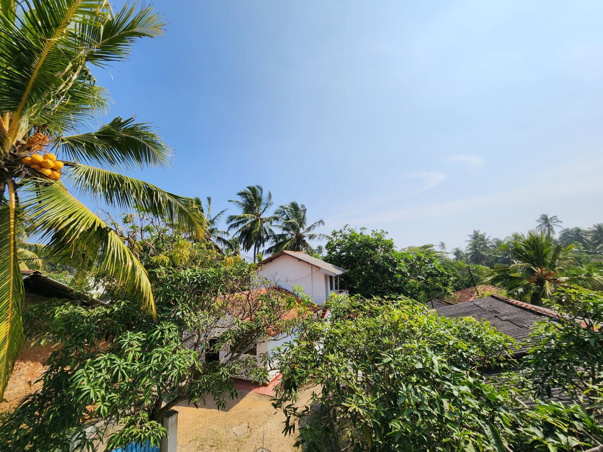 King CoCo House photo 3