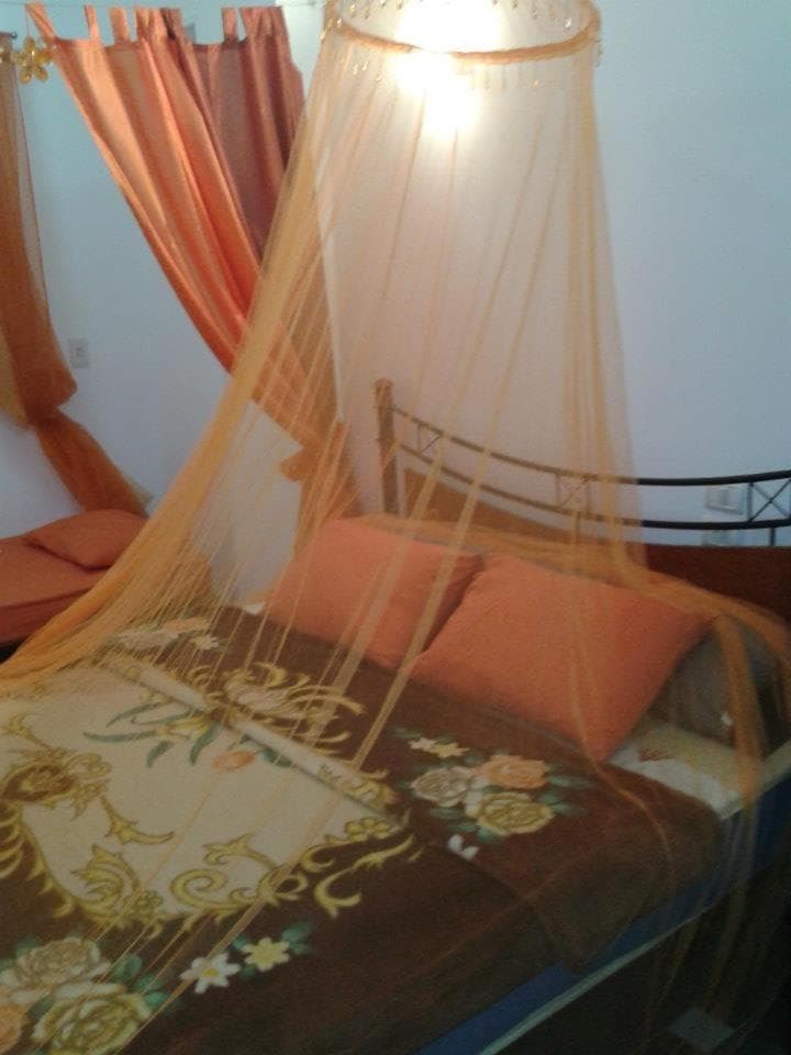 The comfortable palace