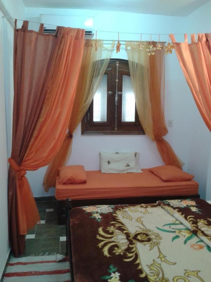 The comfortable palace photo 2