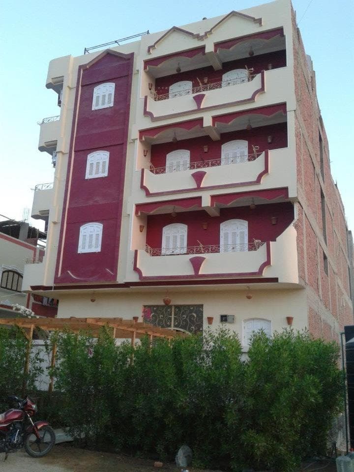 The comfortable palace photo 6