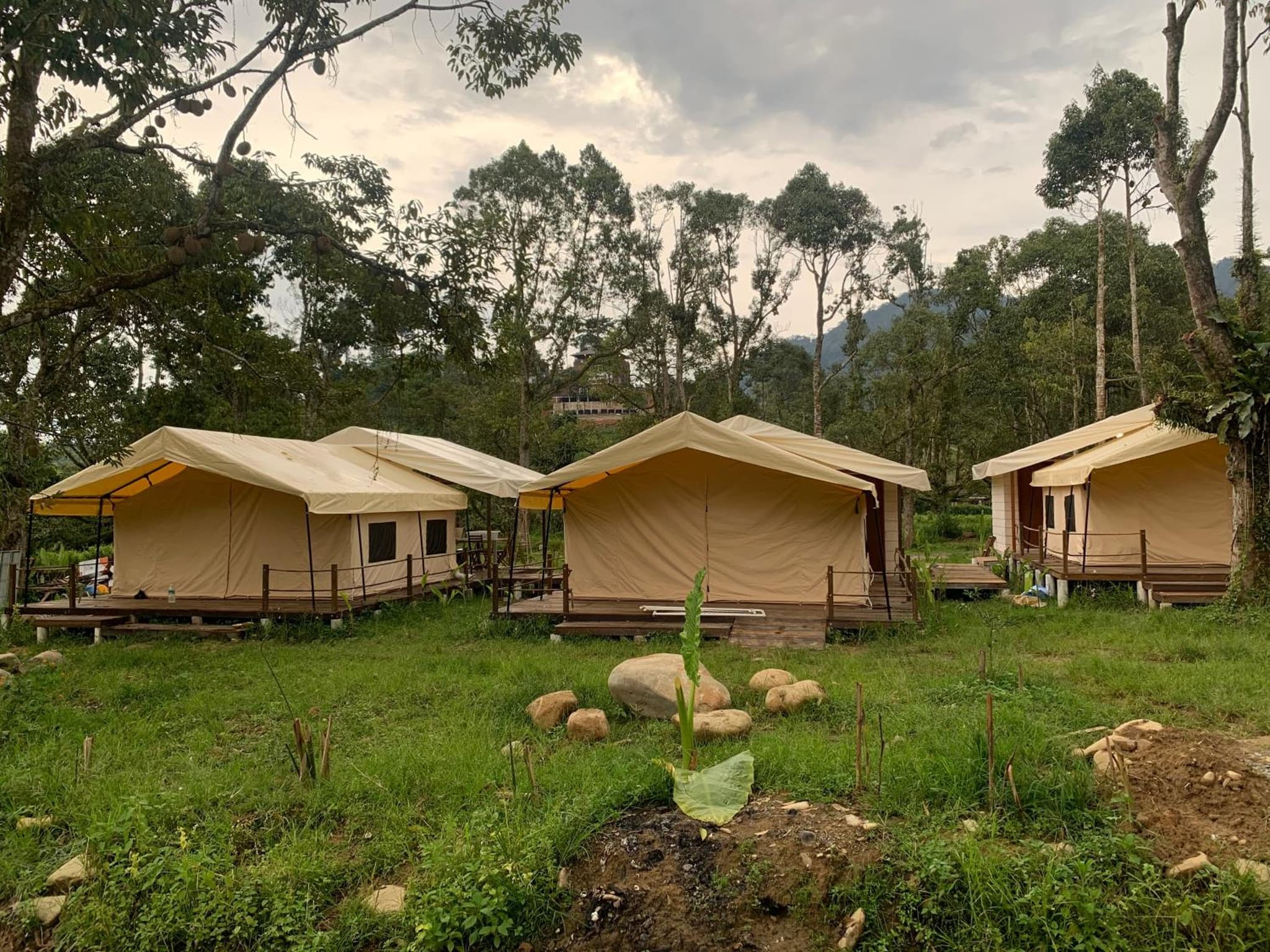 Canopy Villa Nuang Hill photo 3