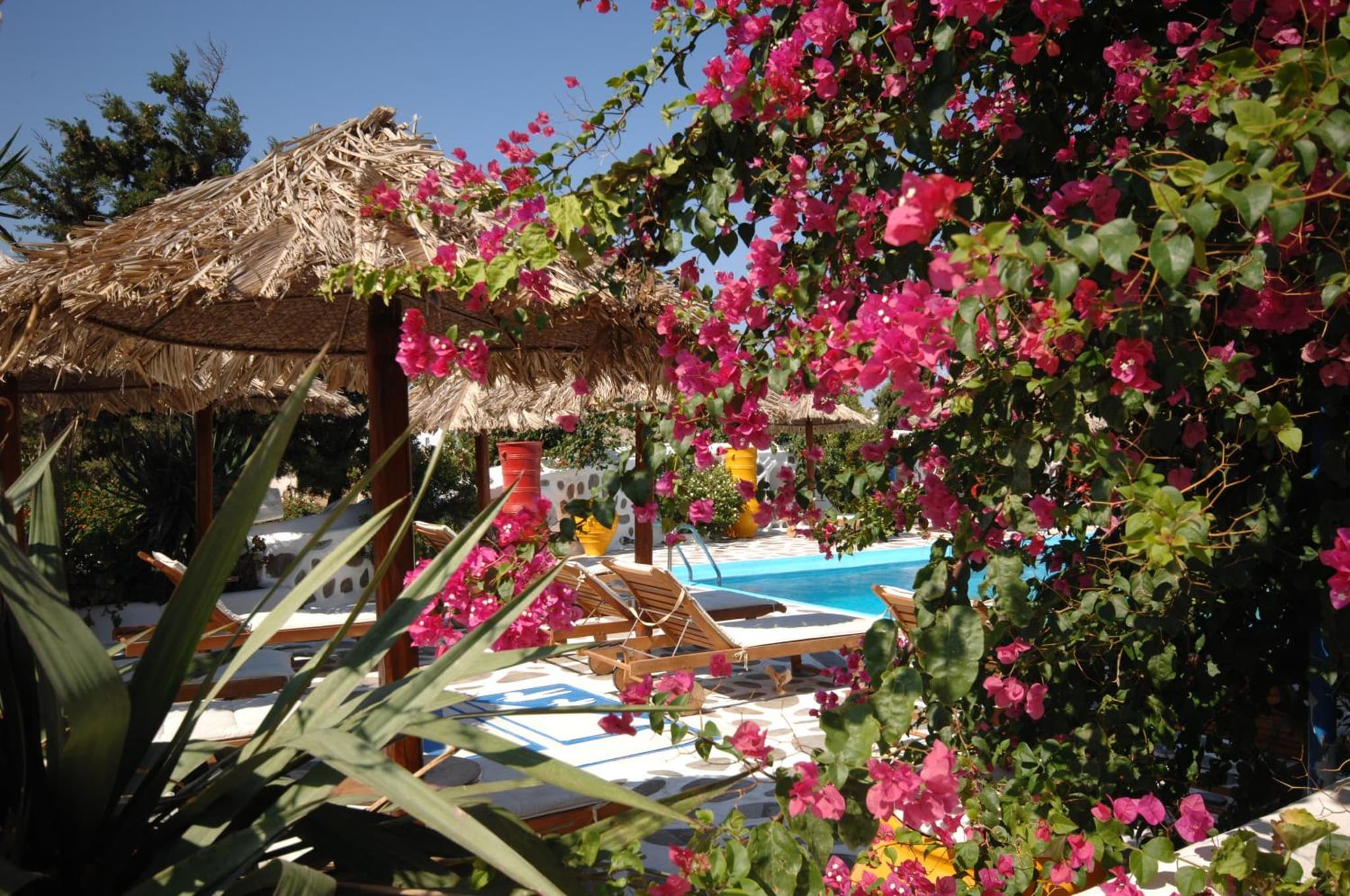 Sun of Mykonos Studios photo 9