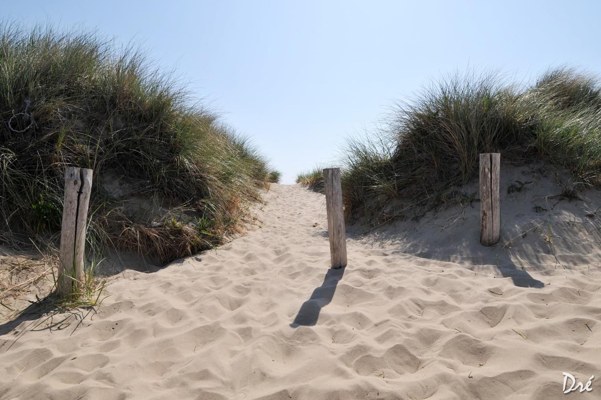 Strandhotel de Vassy photo 6