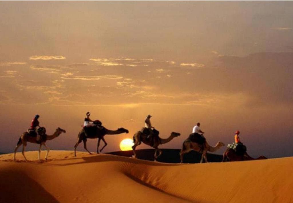 Camp Sahara Majestic photo 7