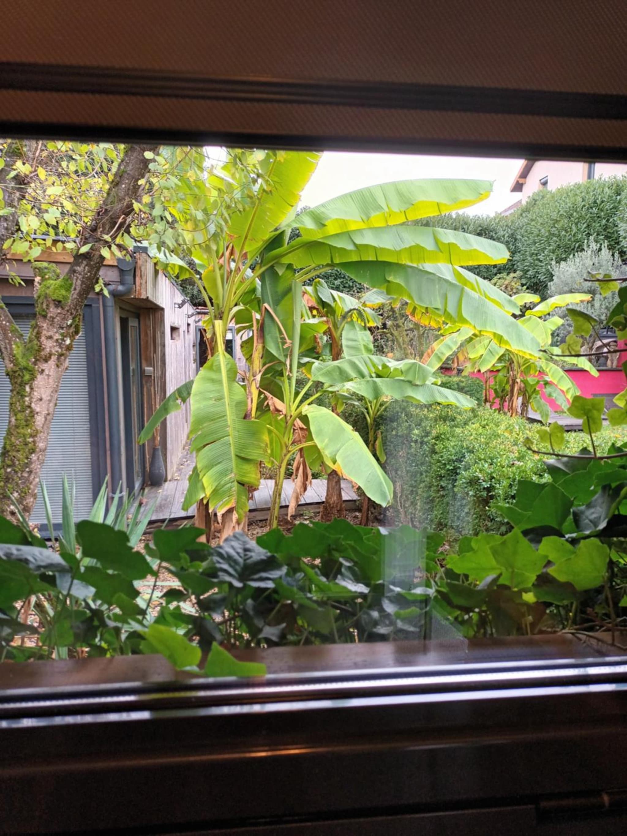 Chambre d'Hotes "Riad des Baudières" photo 7