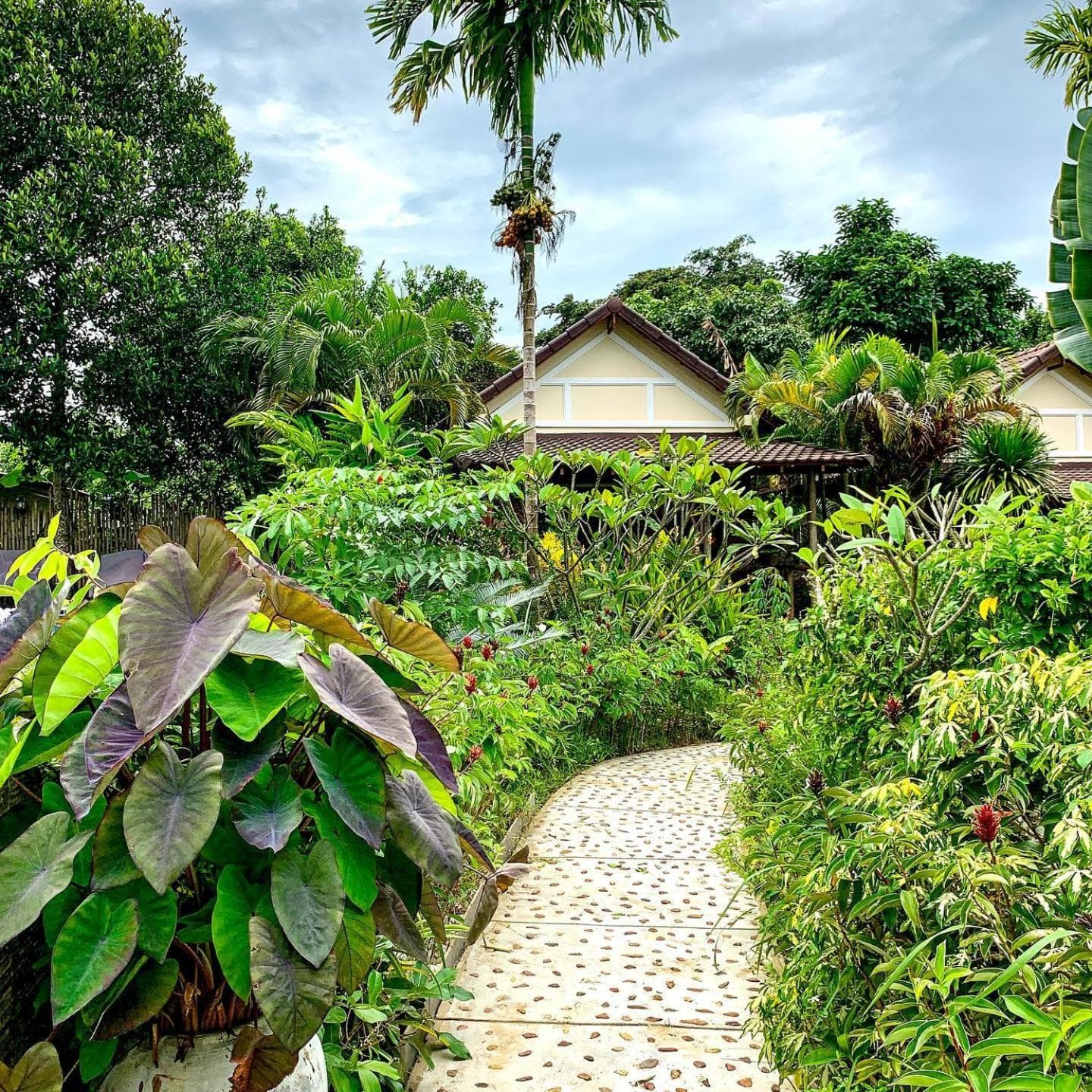 Atmaland Resort photo 7