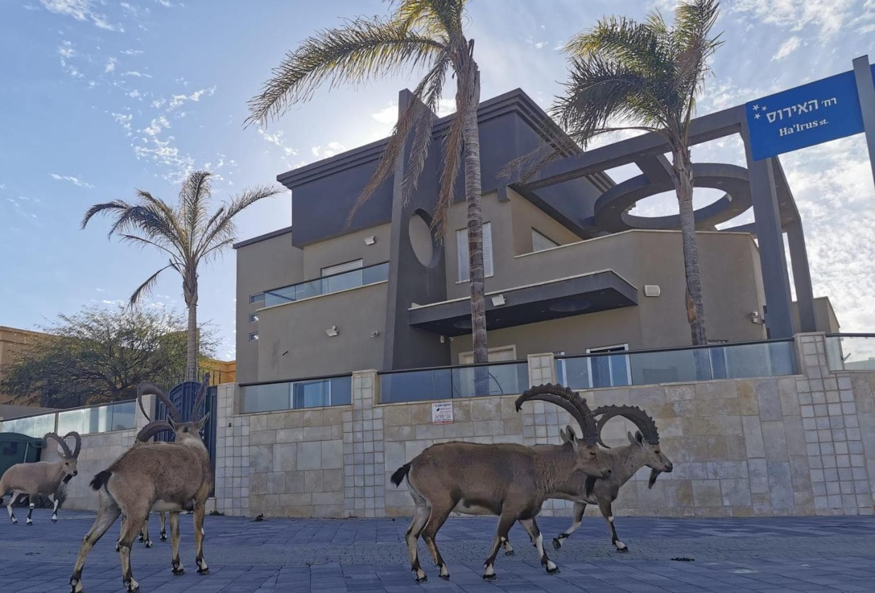 Villa Tzukim Mitzpe Ramon photo 2