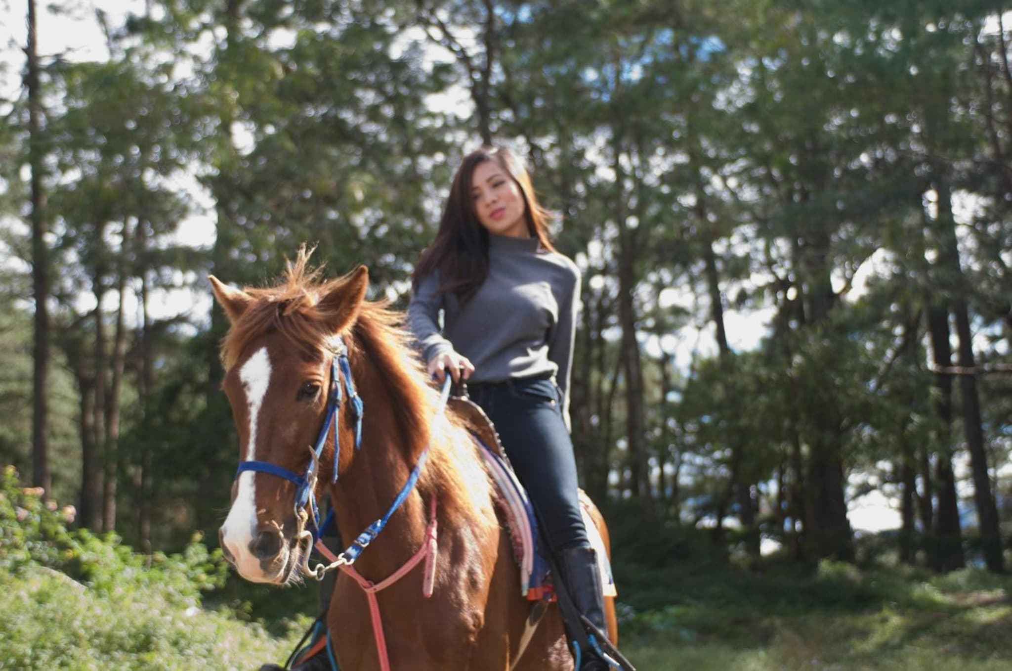 Baguio Holiday Villas photo 4