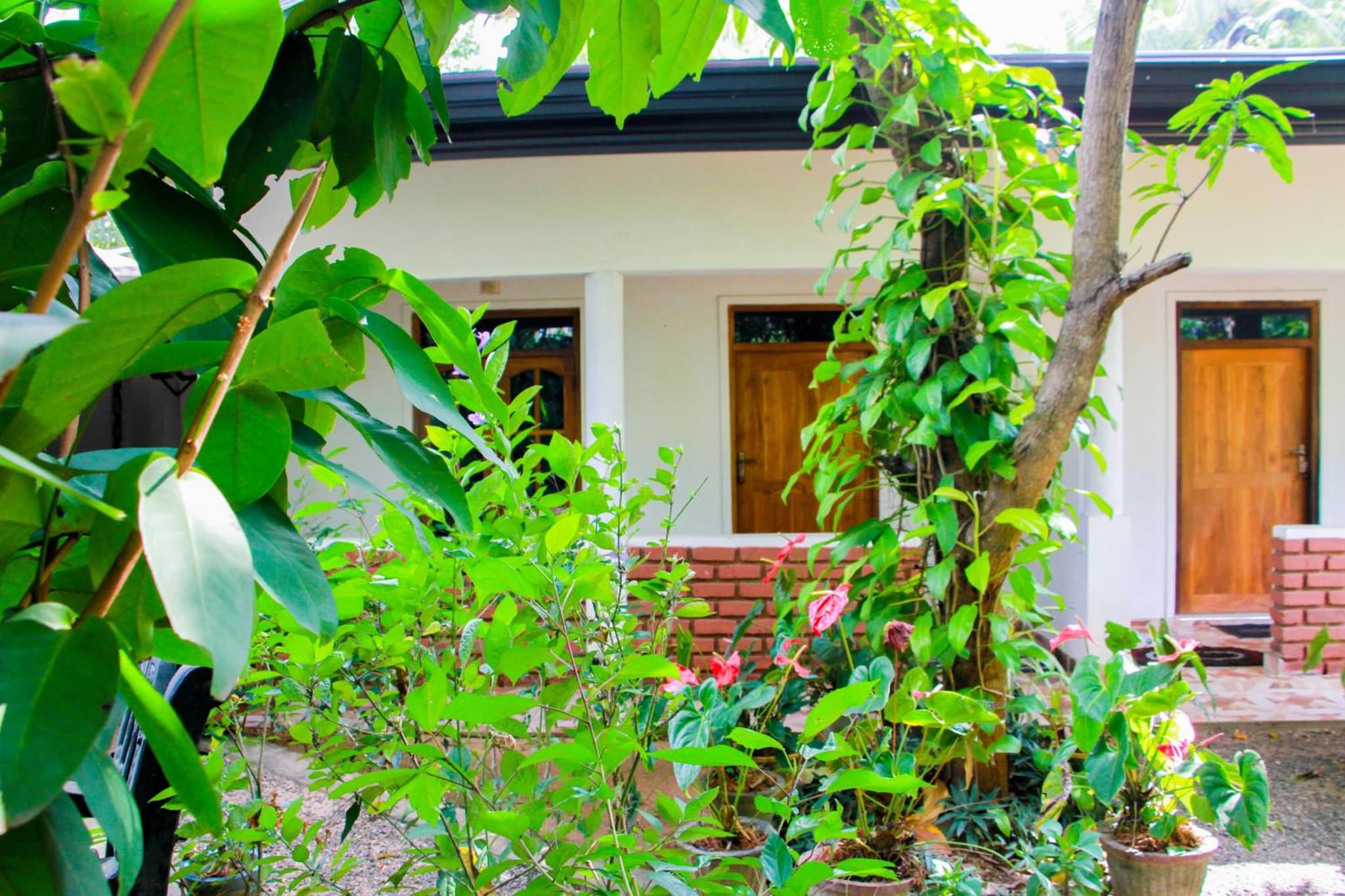 Galaxy View Homestay Sigiriya photo 3