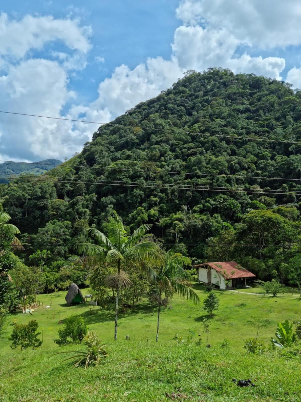 La Perla Negra Eco-Lodge & Hostel