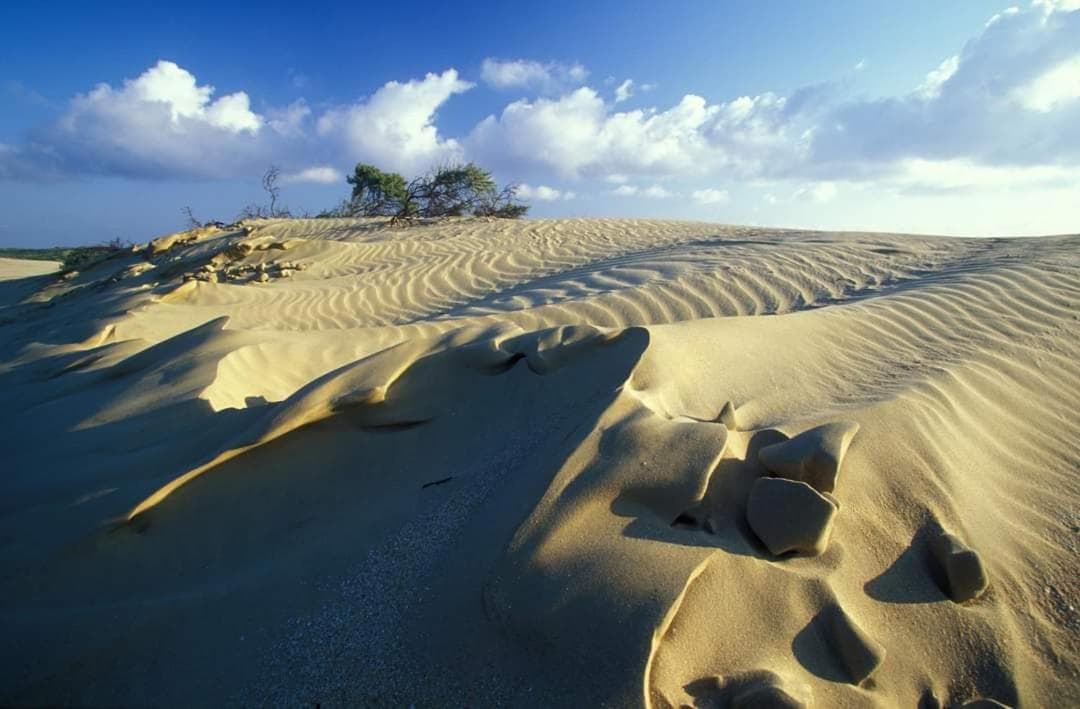 Vakantievilla Het Dunehuys photo 6