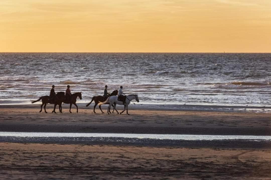 Vakantievilla Het Dunehuys photo 2
