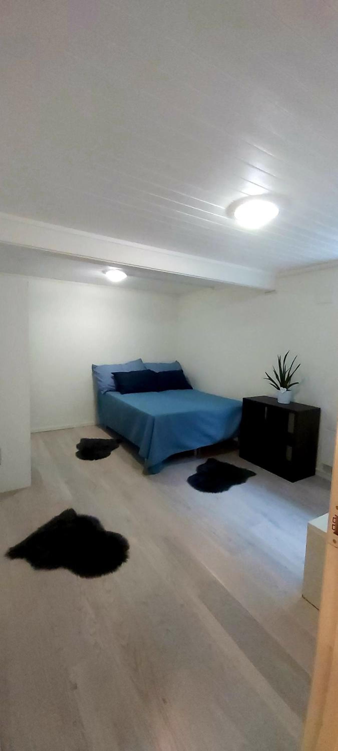 Aurora rooms in shared apartment nr1 We are doing privet northen light trip, reindeer trip and sommaroy Fjord trip