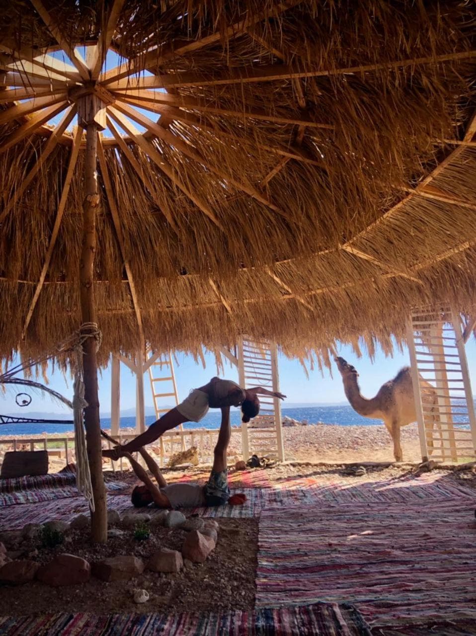 COSMOS eco Lodge and Spiritual community