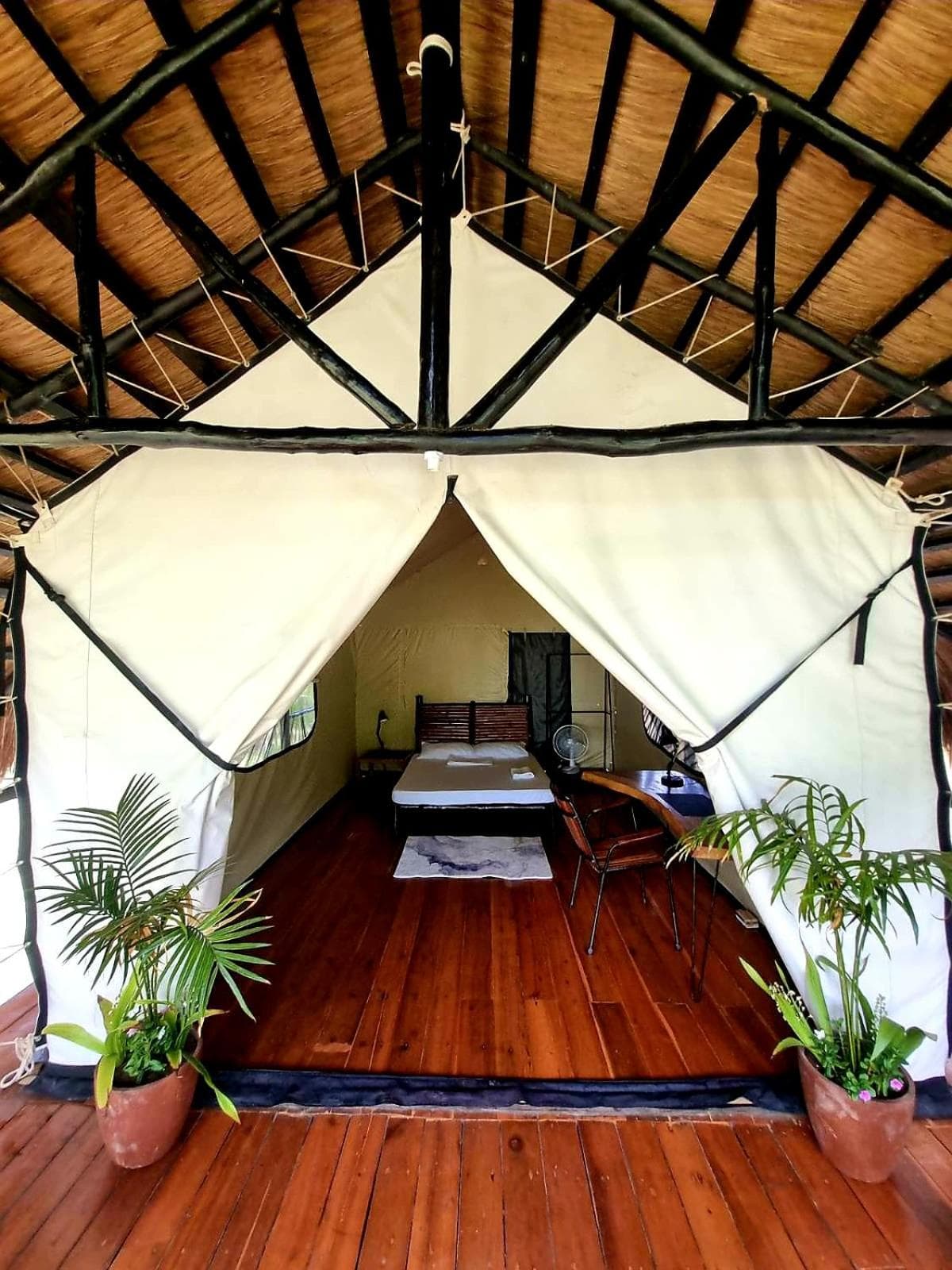 Binga Beach Resort photo 3