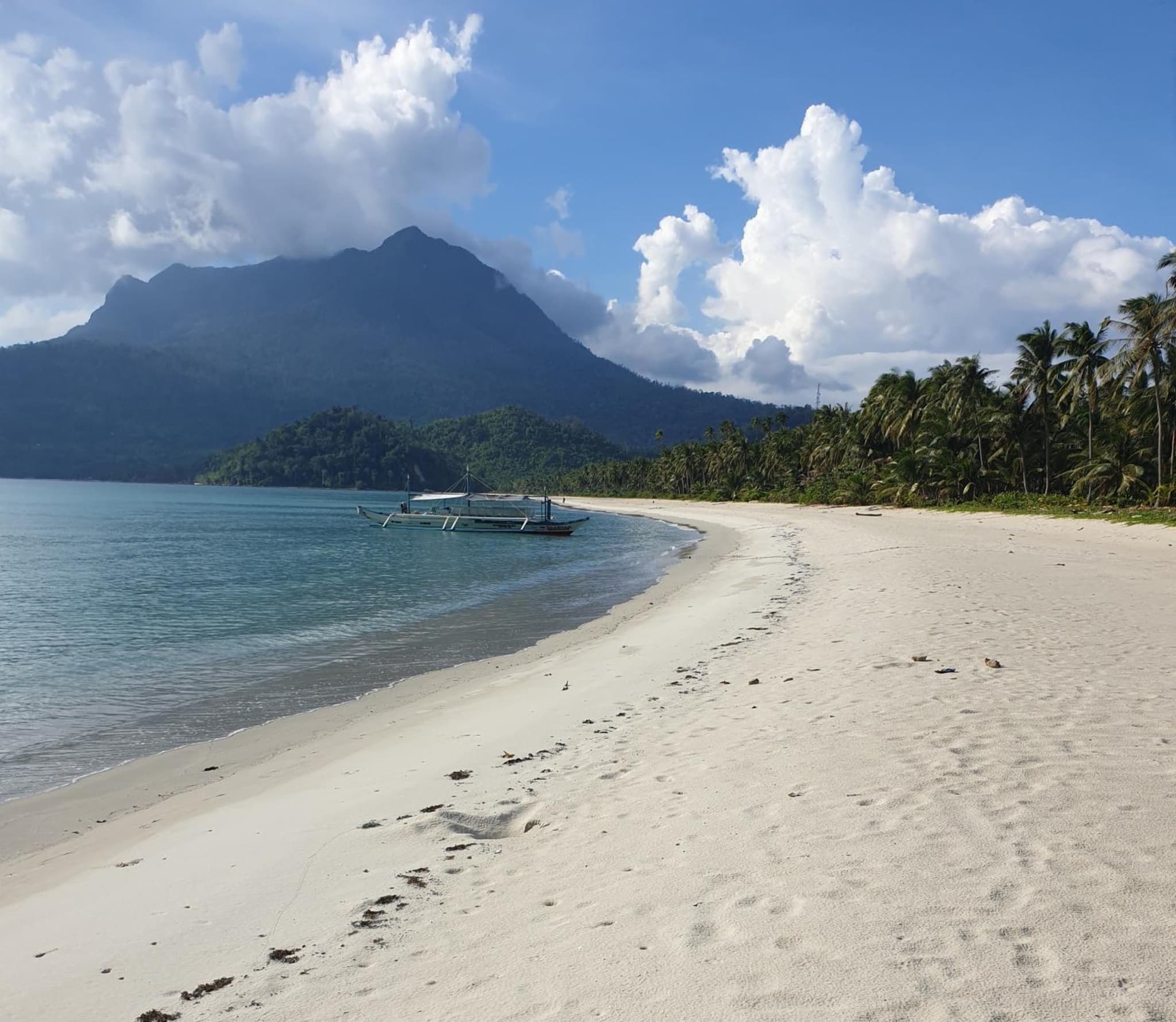 Binga Beach Resort photo 4