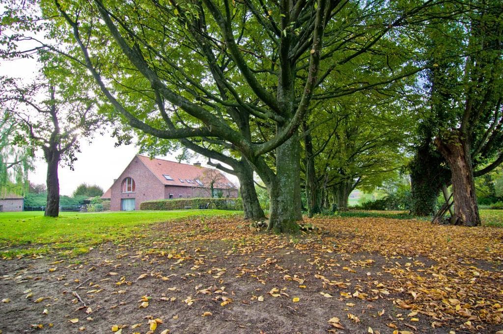 Vakantiewoning L'Eau Tendre in Ellezelles, met wellness en buitenzwembad met overkapping photo 4