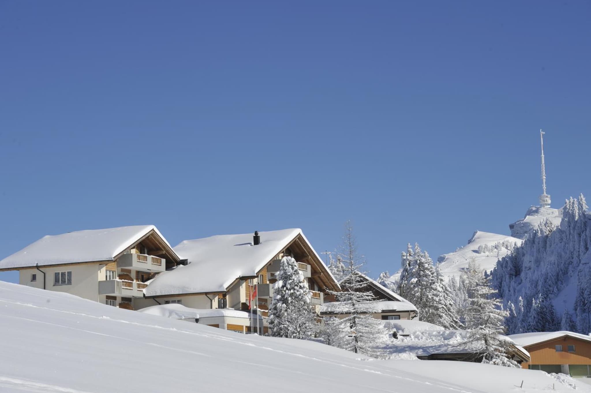 Kräuterhotel Edelweiss photo 9