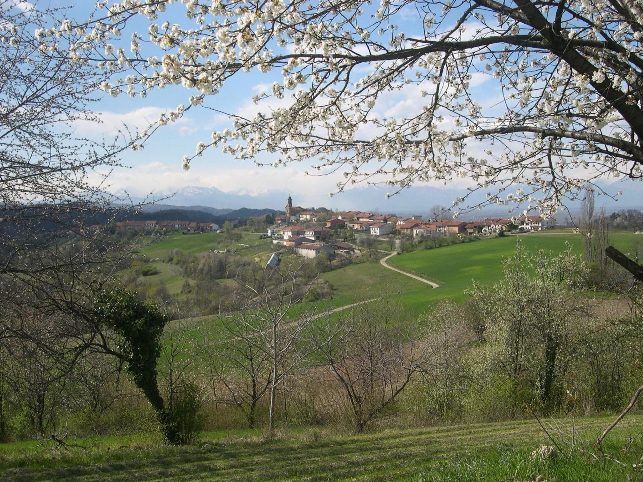 B&B Ca' dla Nona photo 9