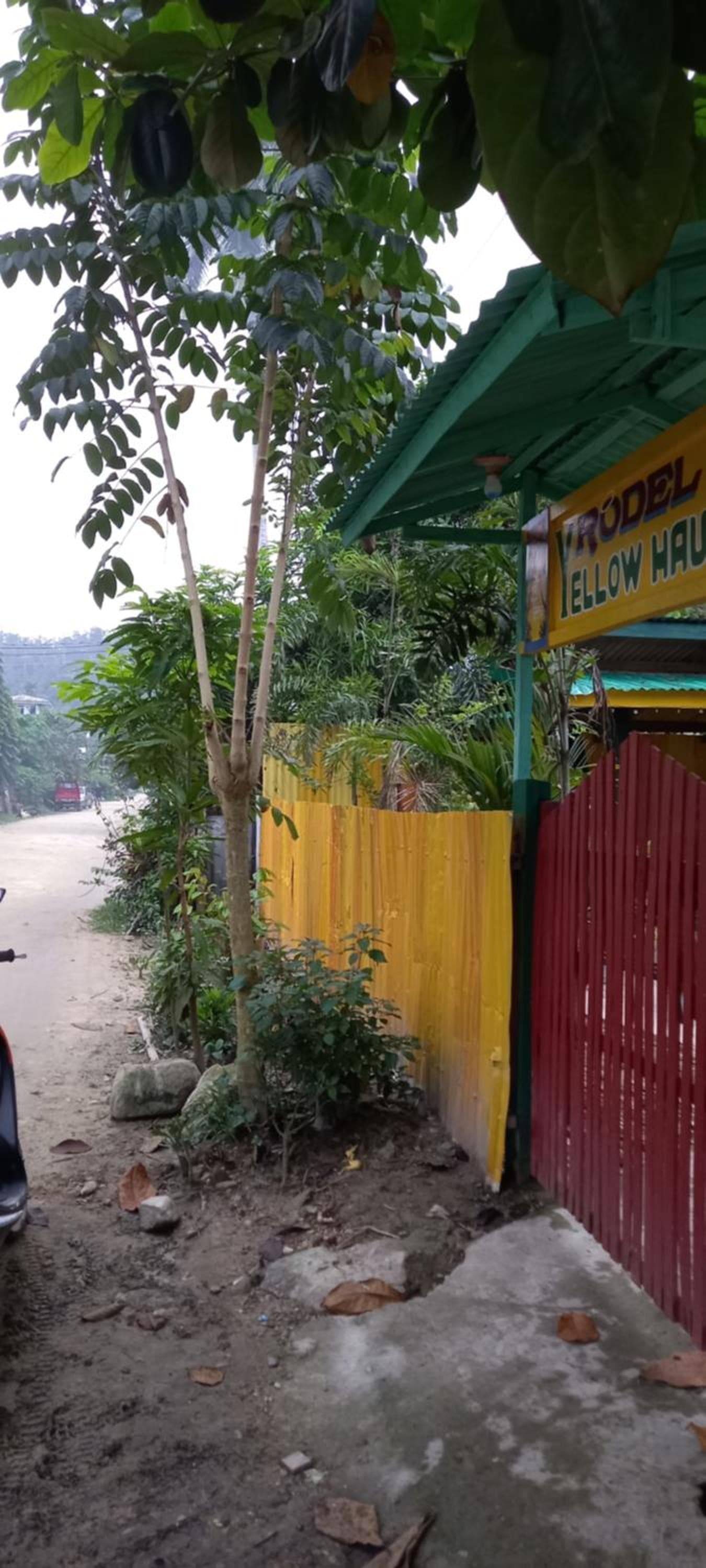 Rodel Yellow Hauz photo 9