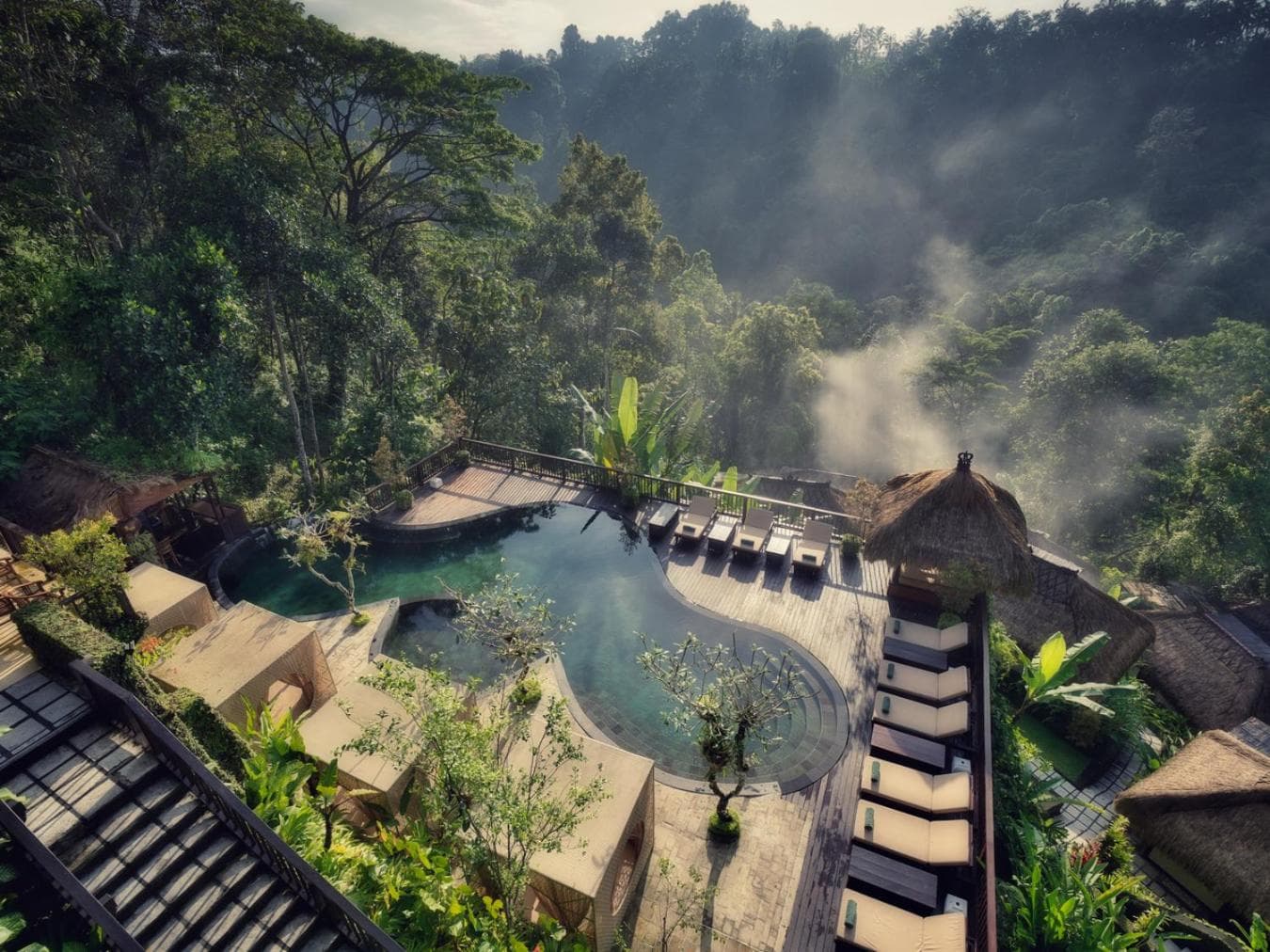 Nandini Jungle by Hanging Gardens photo 6