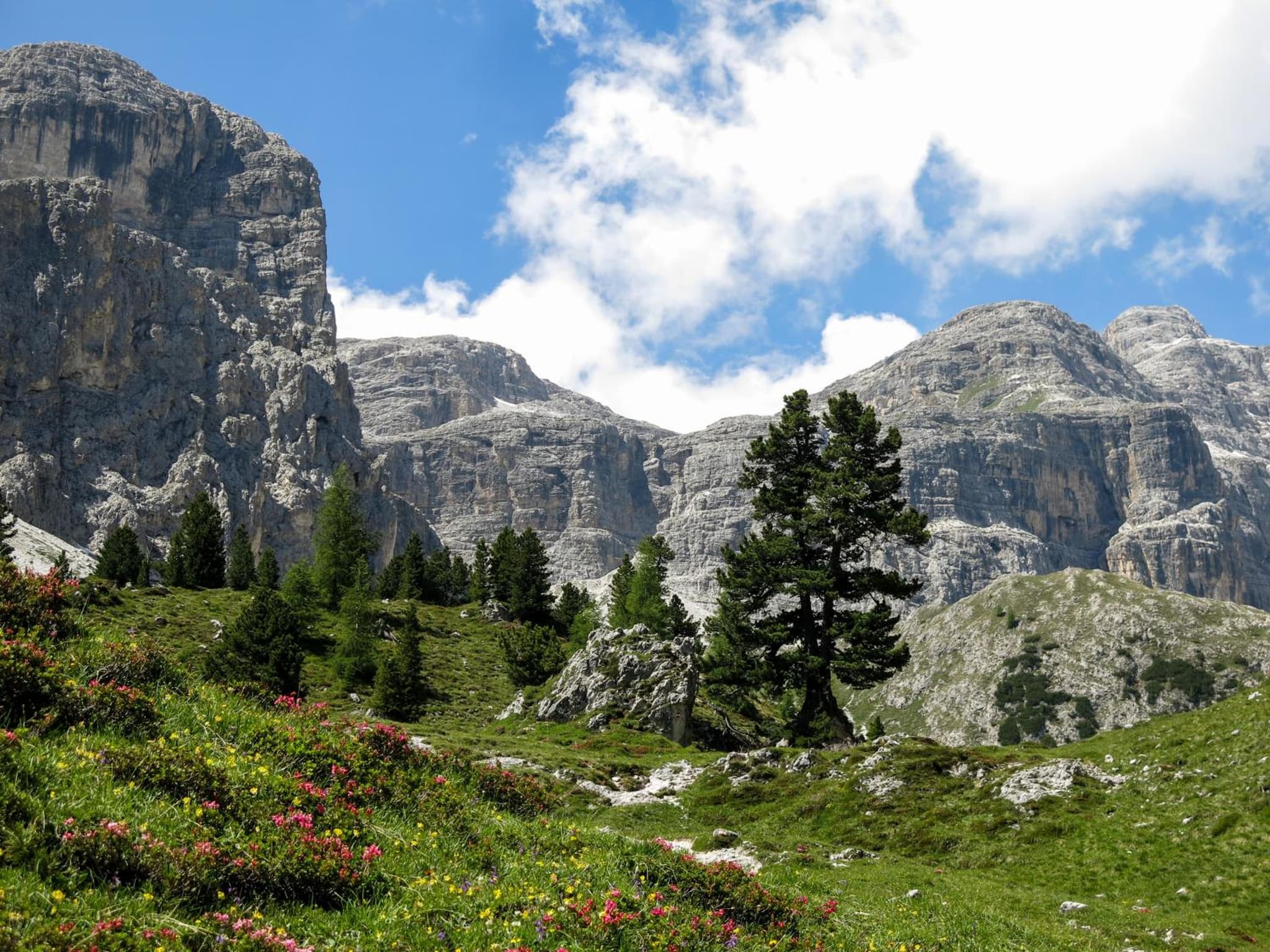 Alpine Mountain Chalet photo 3